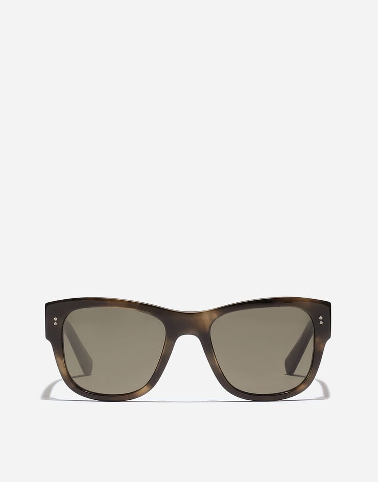 Dolce & Gabbana DNA Sunglasses Green havana VG4338VP003