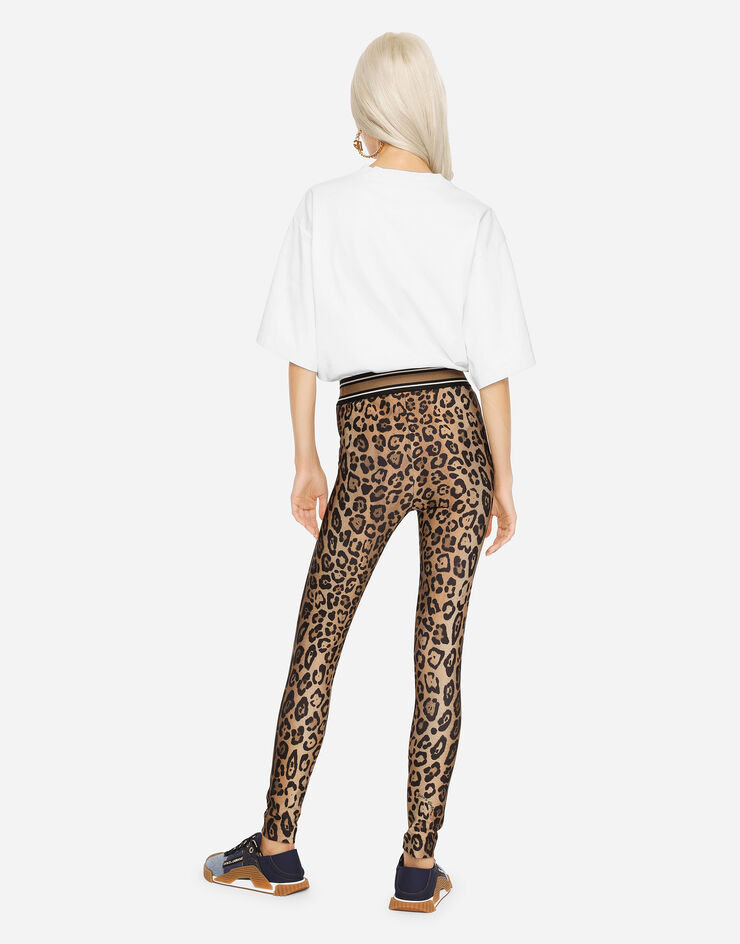 Dolce & Gabbana Leopard-print spandex/jersey leggings Multicolor I3ABLWG7BPT