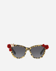 Dolce & Gabbana Leo & roses sunglasses Black LBKAB4JBVX3