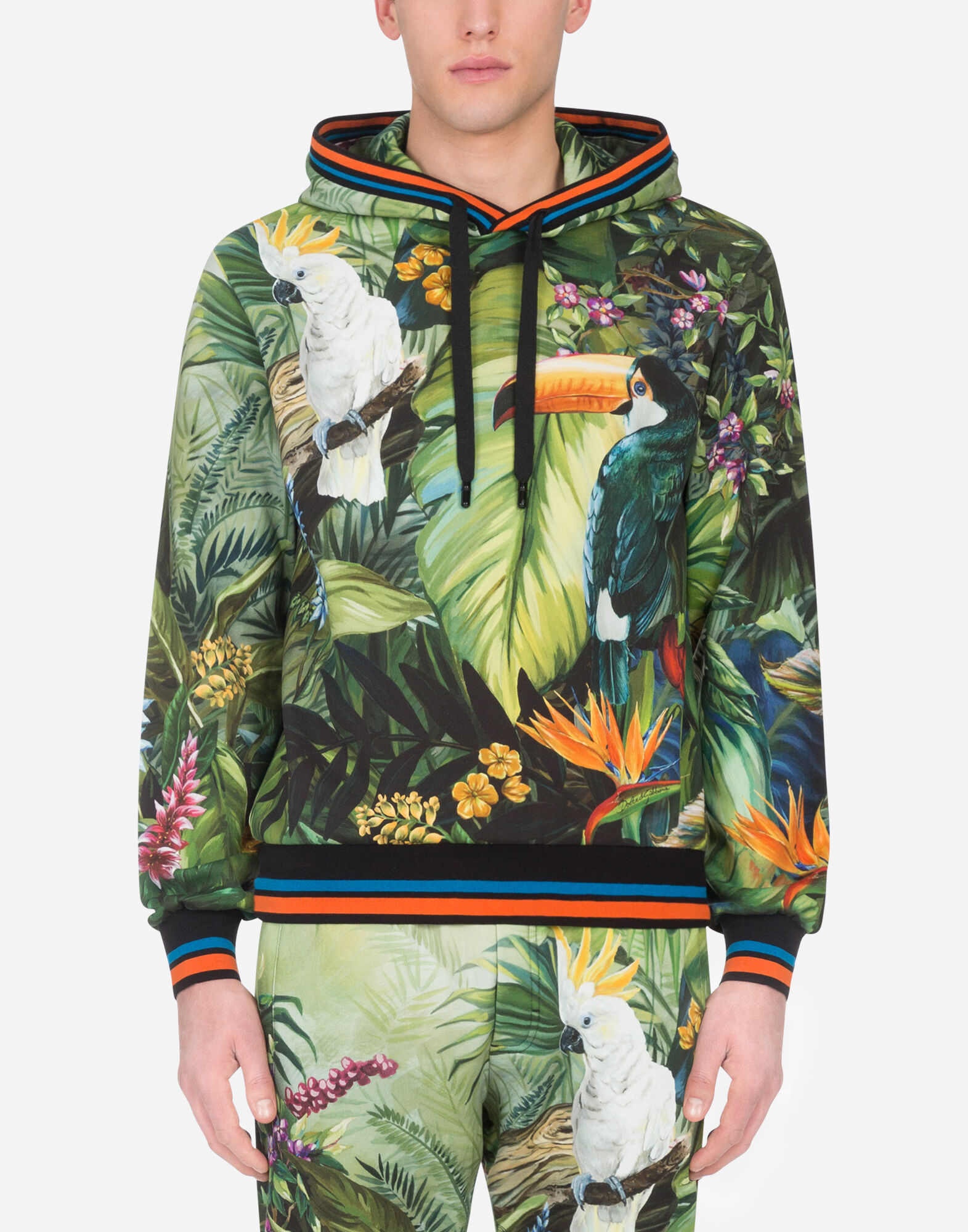 Dolce gabbana jungle print on sale