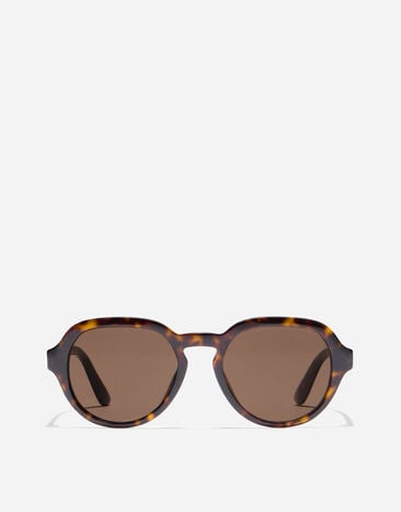 Dolce & Gabbana Everyday Sunglasses Dolce & Gabbana Everyday Sunglasses Havana VG4567VP273