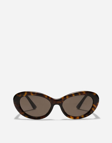 Dolce & Gabbana Marlene Sunglasses Havana VG4519VP273