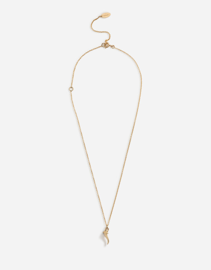 Dolce & Gabbana Collier avec pendentif porte-bonheur Doré WAEJ3GW0001