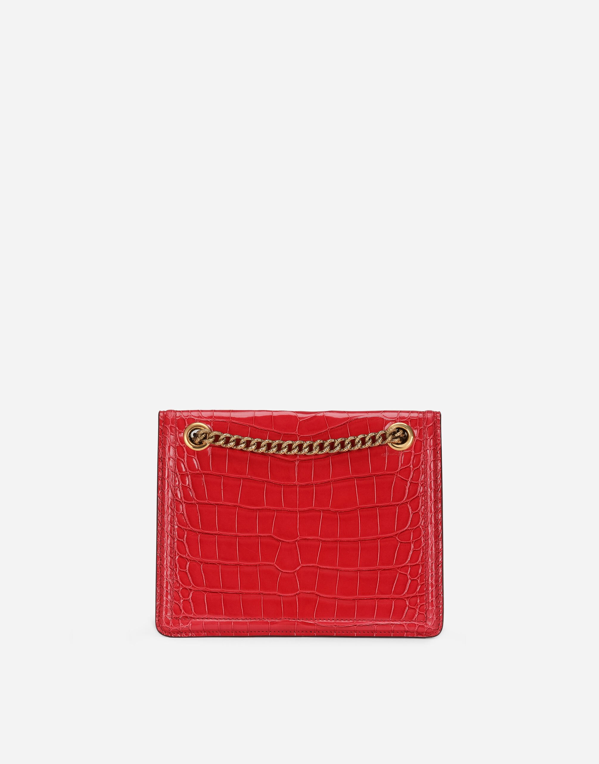 Dolce gabbana crocodile on sale bag