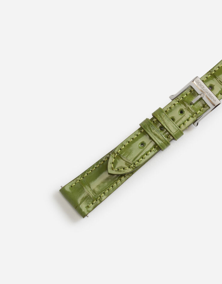 Dolce & Gabbana Alligator strap with buckle and hook in steel VERT OLIVE WSFE2LXLAC1