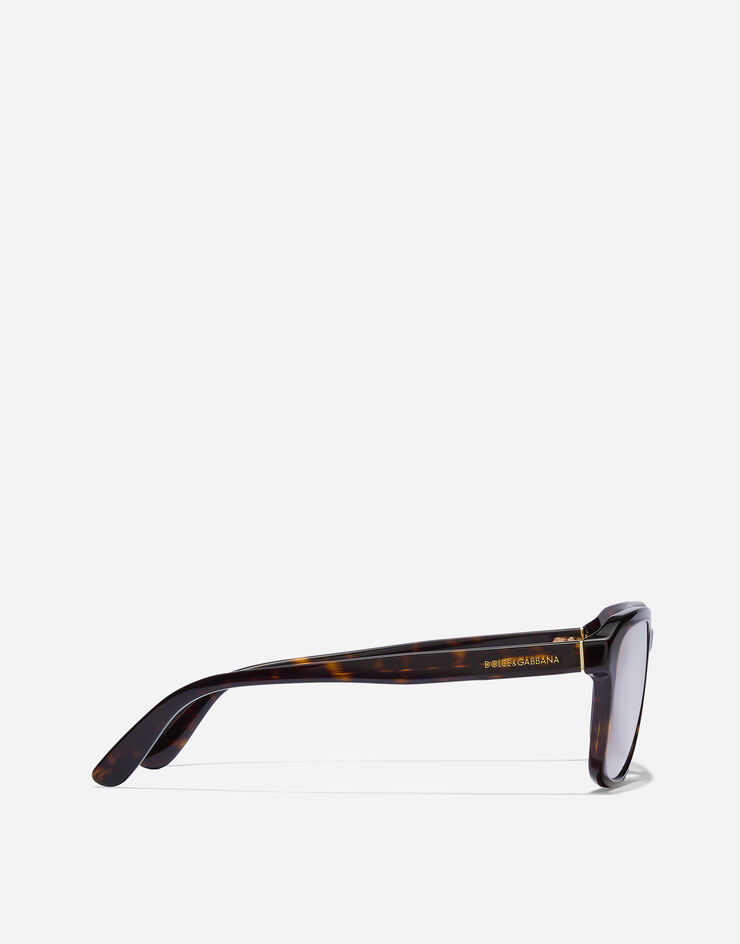 Dolce & Gabbana Everyday Sunglasses Dolce & Gabbana Everyday Sunglasses Havana VG4566VP2SB