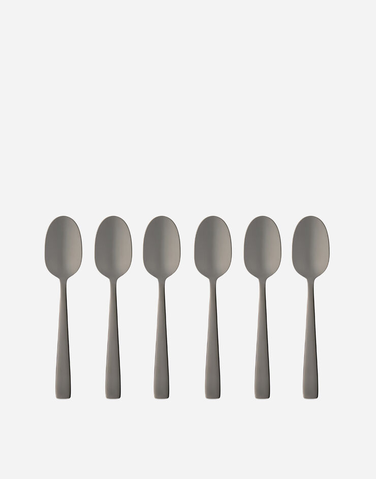 Dolce & Gabbana Set 6 INOX Coffee Spoons Multicolor TCPS13TCA53