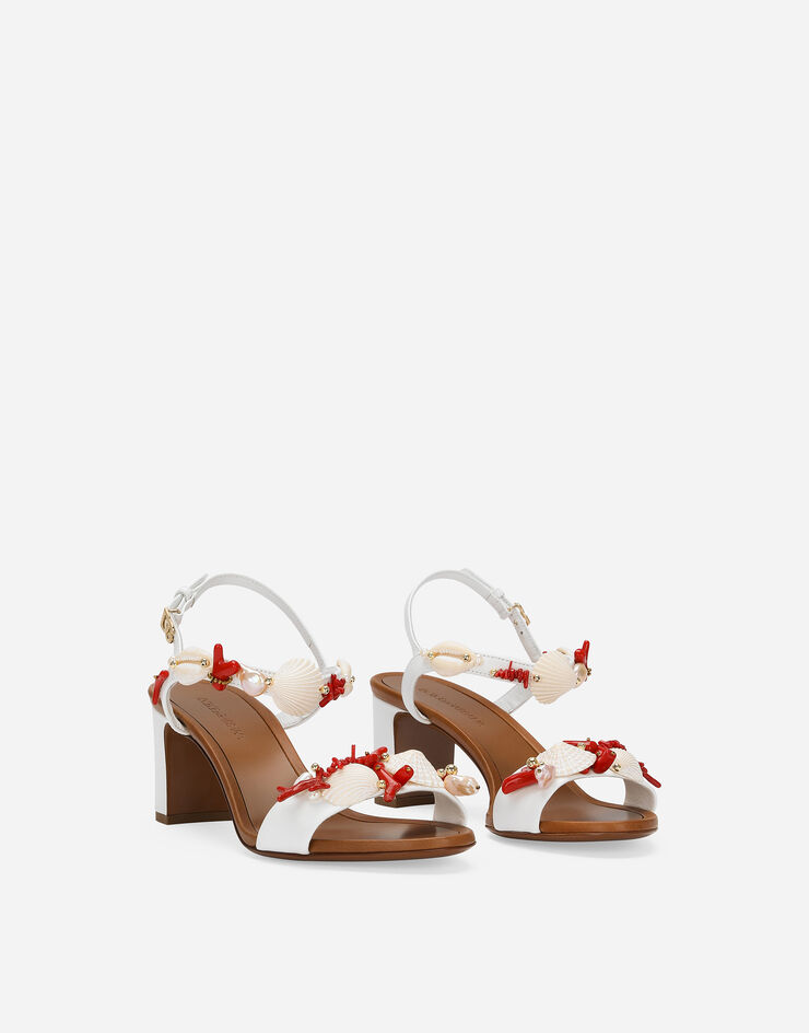 111 Dolce & Gabbana   