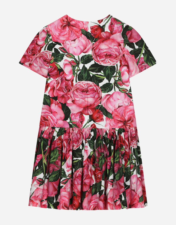 Dolce & Gabbana Vestido de popelina con estampado de rosas sobre base blanca Imprima L53DX6HS5SC
