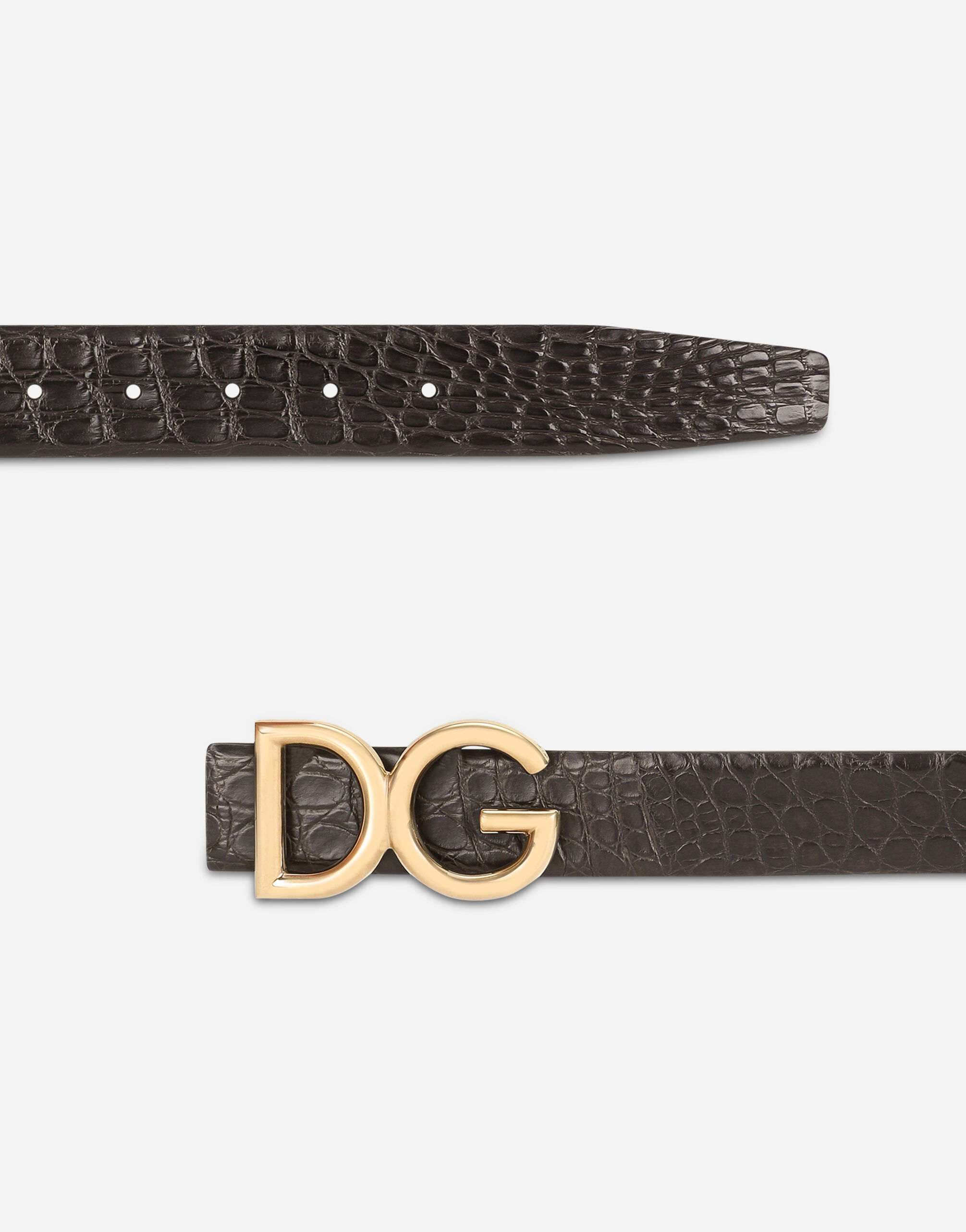 Crocodile flank nappa belt with DG logo in MULTICOLOR for Men