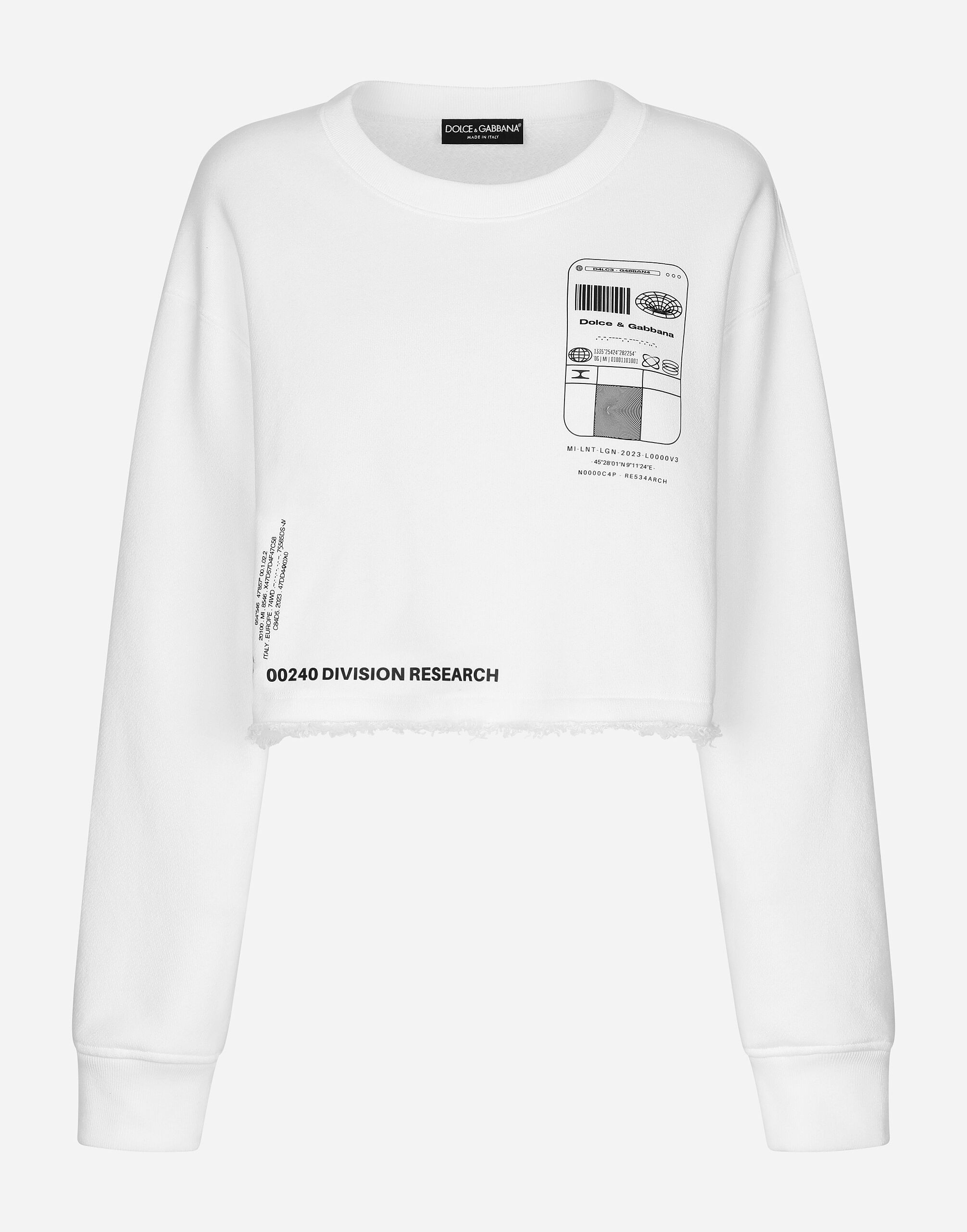 Pullover dolce hotsell gabbana