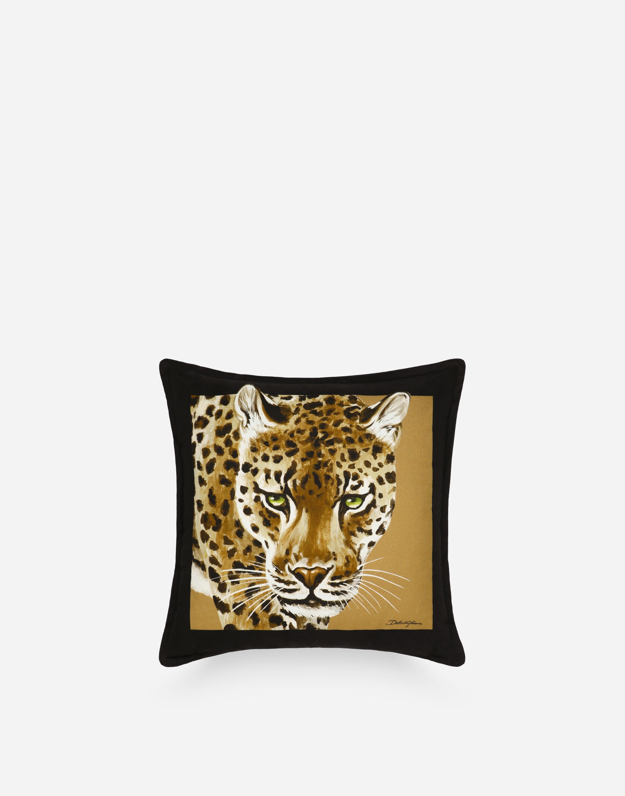 Dolce & Gabbana Canvas Cushion small Multicolor TCC052TCAE8