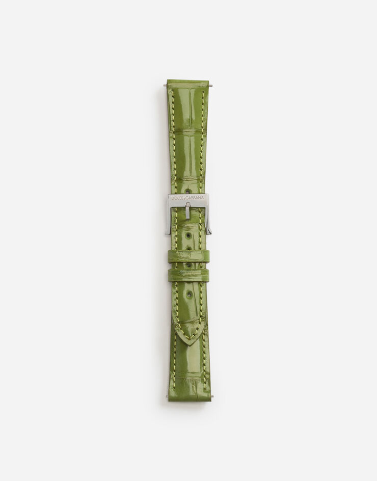Dolce & Gabbana 钢质针扣鳄鱼皮表带 橄榄绿色 WSFE2LXLAC1