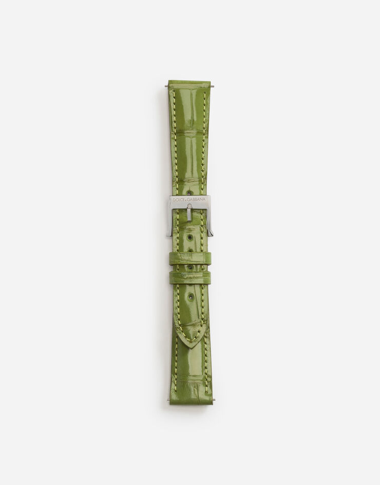 Dolce & Gabbana Cinturino in alligatore con fibbia ad ardiglione in acciaio Verde Oliva WSFE2LXLAC1
