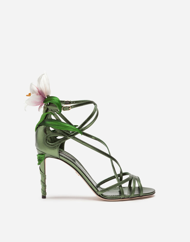Dolce & Gabbana  グリーン CR0820AA132