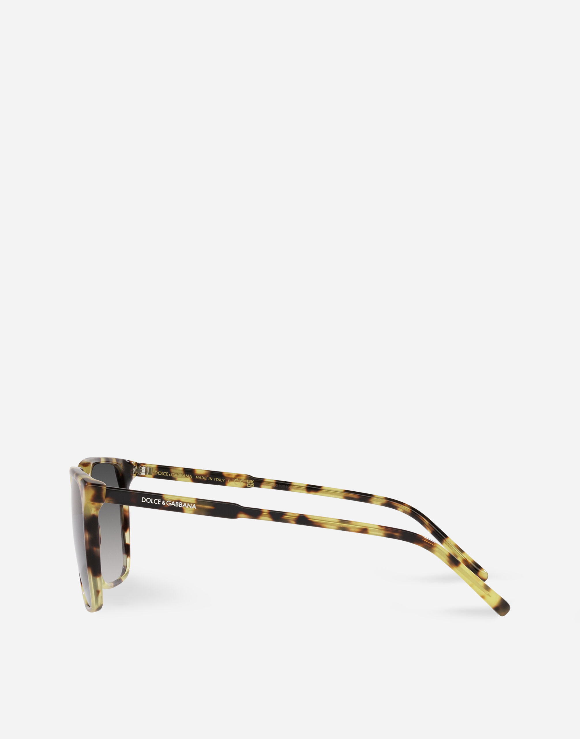 Dolce and hotsell gabbana customer profile