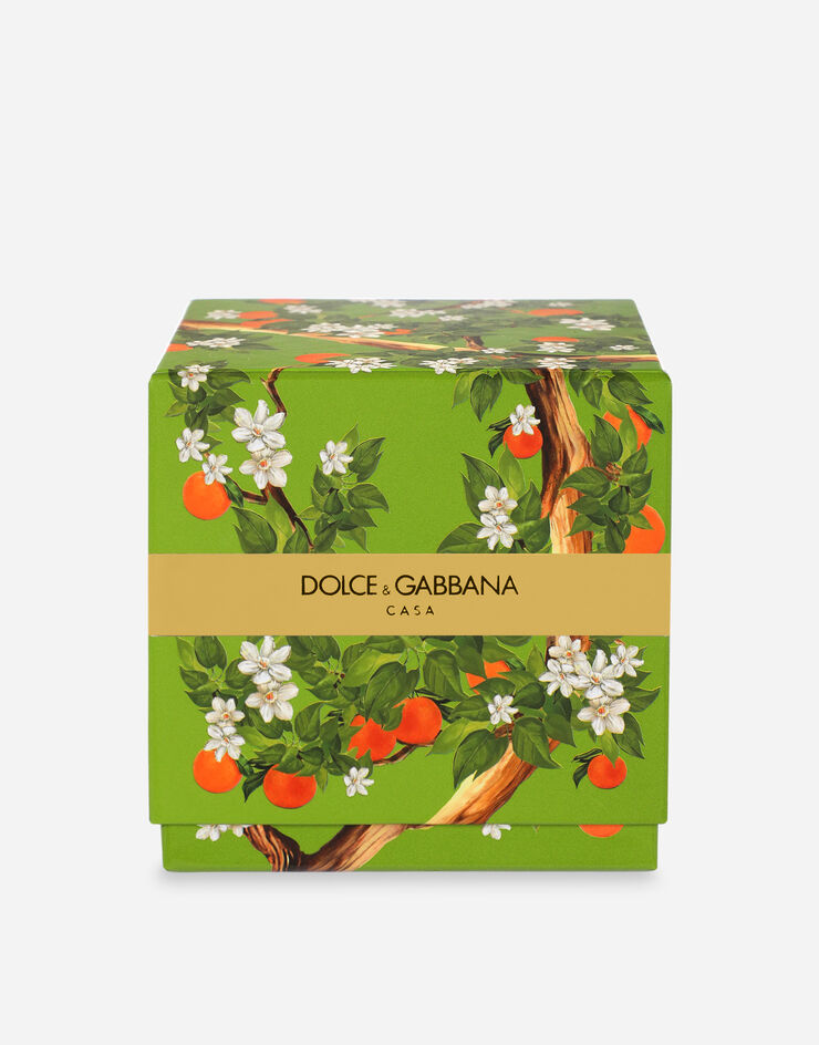 Dolce & Gabbana Duftkerze – Sizilianische Orange Mehrfarbig TCC087TCAIU