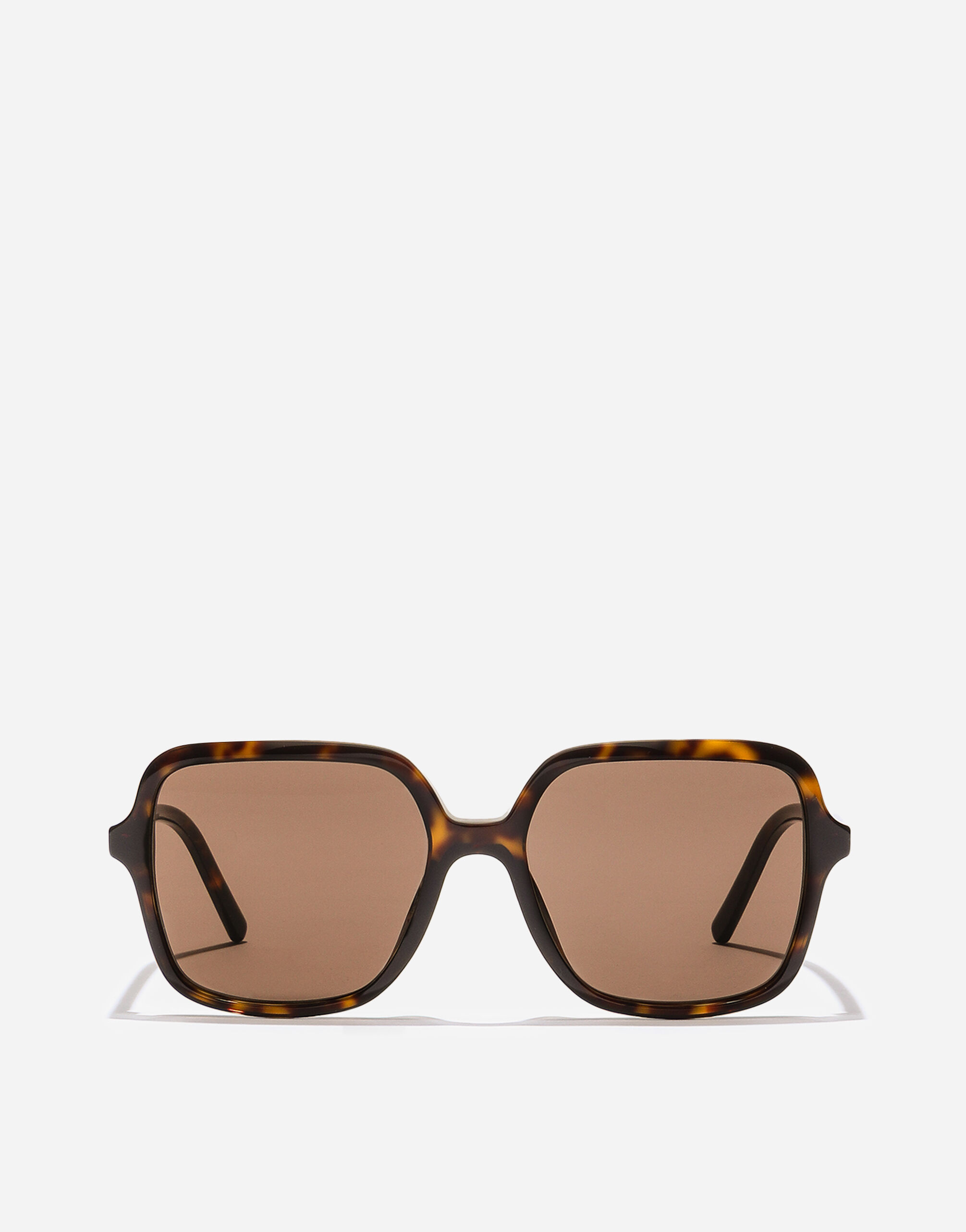 トップス godsavage S DG Everyday Sunglasses in Havana for Women | Dolce&Gabbana® US