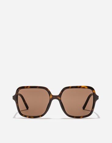 Dolce & Gabbana DG Everyday Sunglasses Havana VG4539VP273