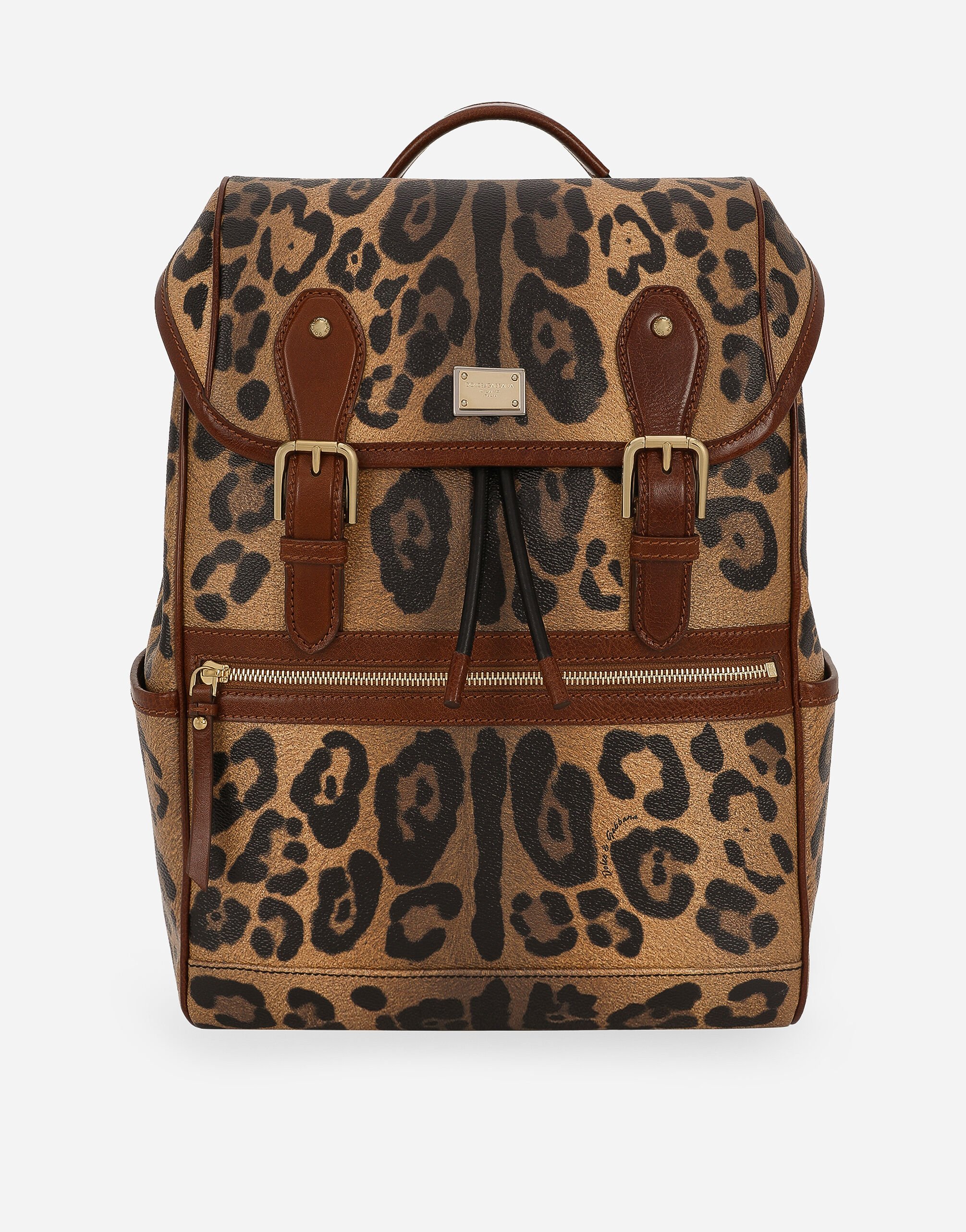 Dolce & Gabbana Leopard-print Crespo backpack with branded plate Multicolor BI3076AW384