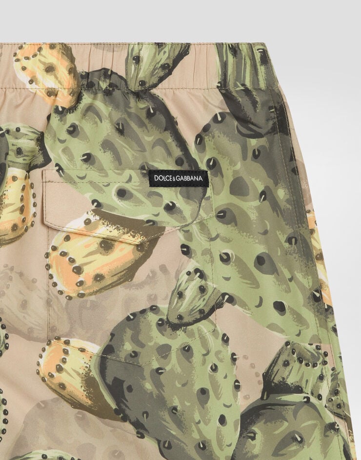 Dolce & Gabbana Cactus-print medium nylon swim shorts Dolce & Gabbana Cactus-print medium nylon swim shorts Multicolor L4J818ON0BI