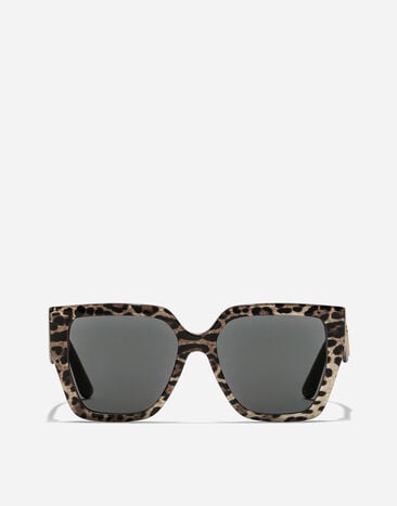 Dolce & Gabbana DG Crossed Sunglasses Leo brown on black VG4438VP387