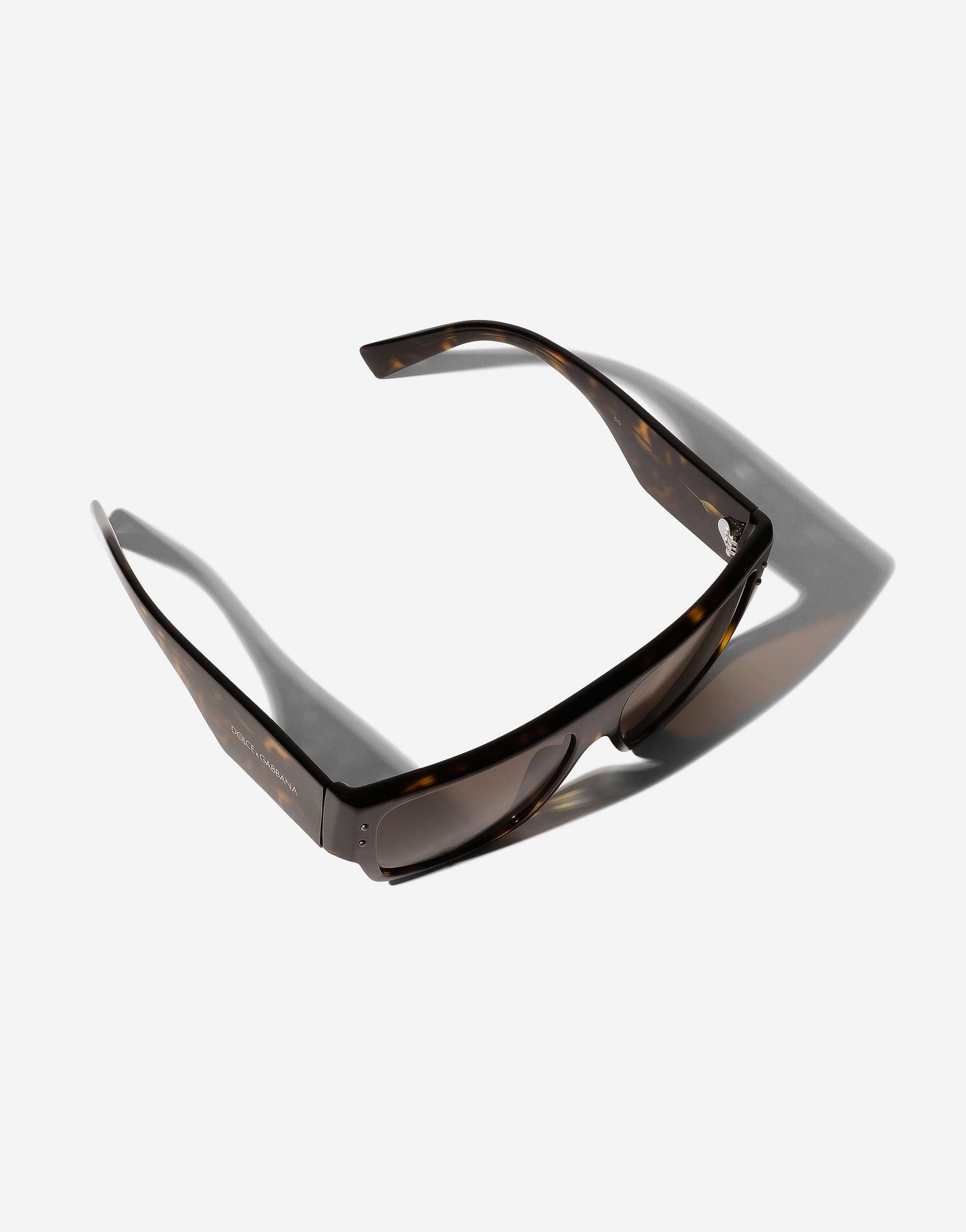 Dolce & Gabbana Dna Sunglasses In Havana