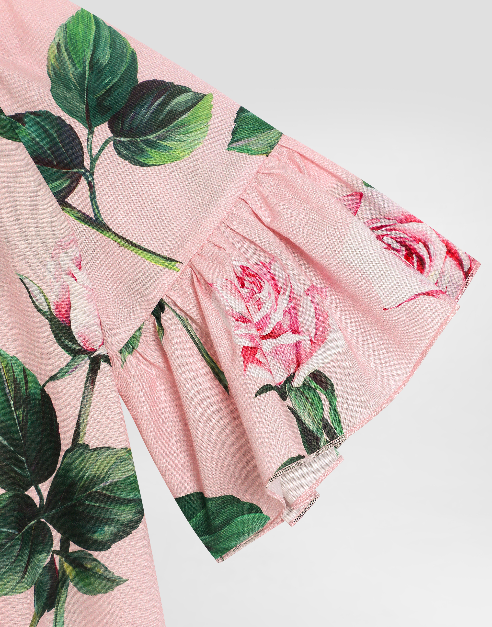 Dolce & Gabbana Rose-print Poplin Dress In Print
