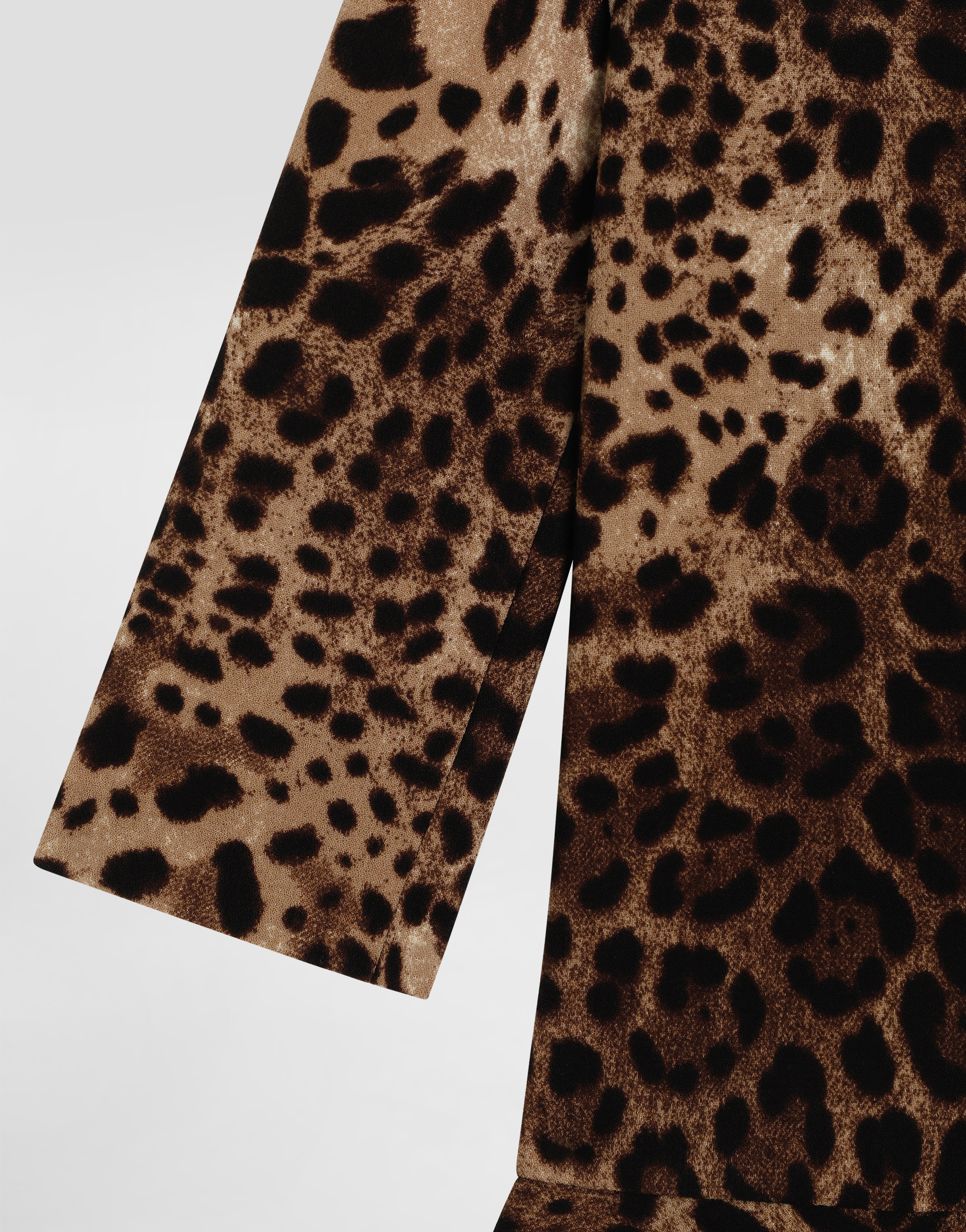 Dolce & Gabbana Leo-print Double Crêpe Dress In Brown