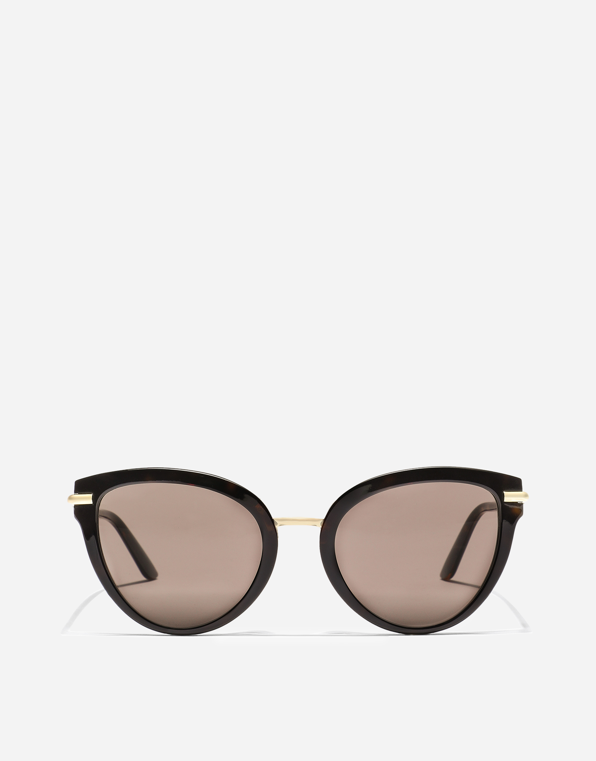 Dolce & Gabbana Dna Sunglasses In Havana On  Carretto Print