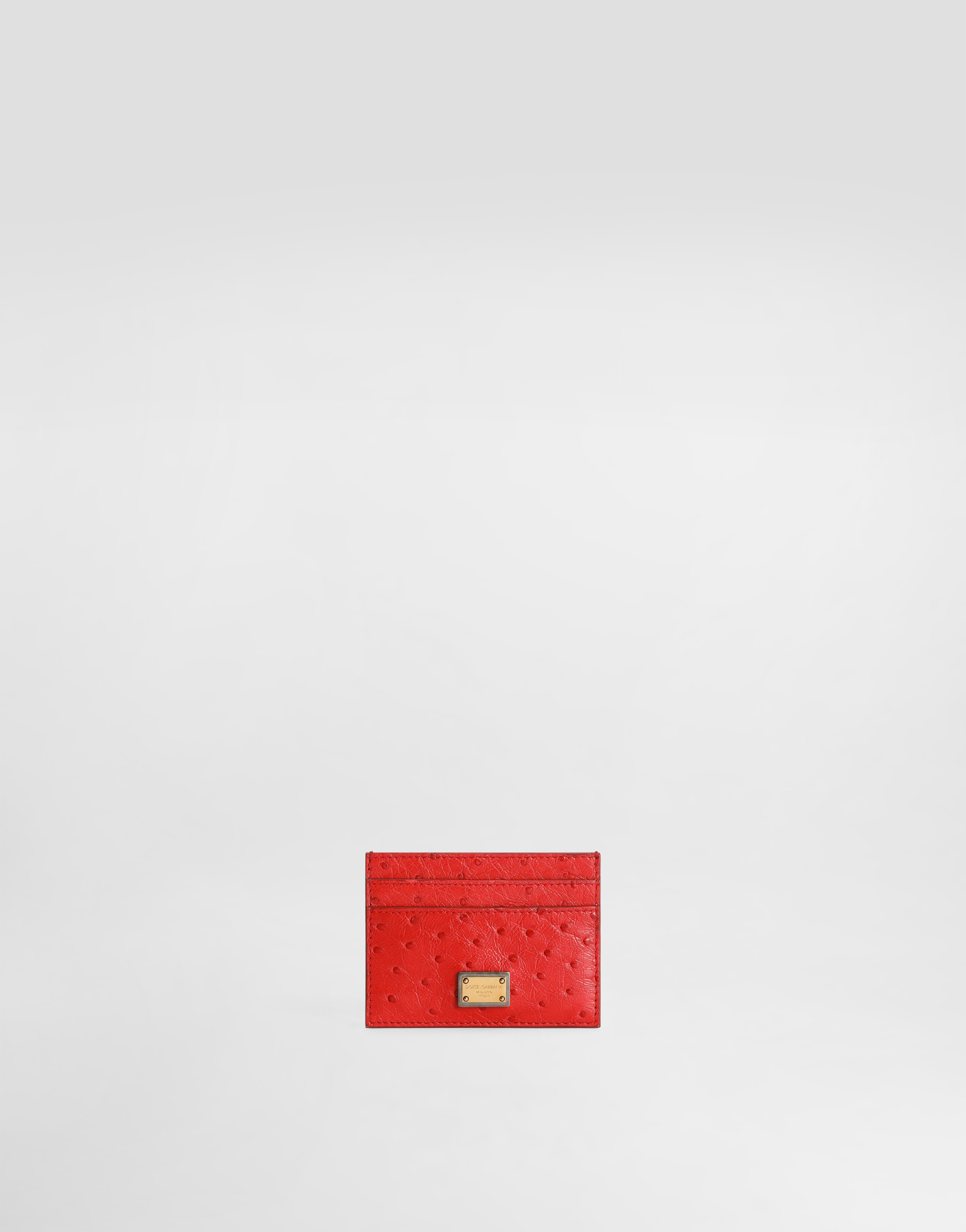 Dolce & Gabbana ポリッシュド オーストリッチ レザー カード ホルダー