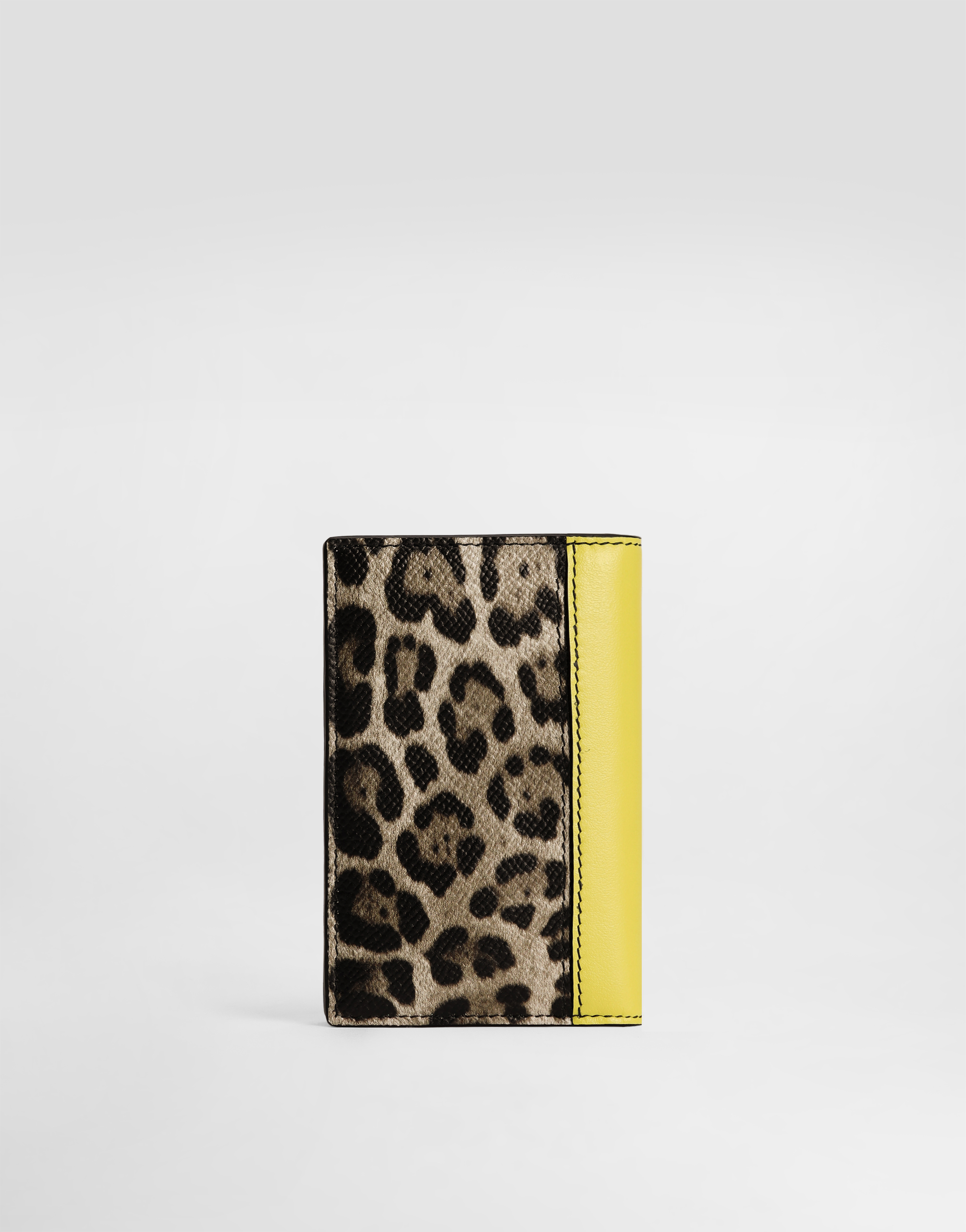 Dolce & Gabbana Saffiano Leather Passport Holder With Clored Leather Inserts In Print