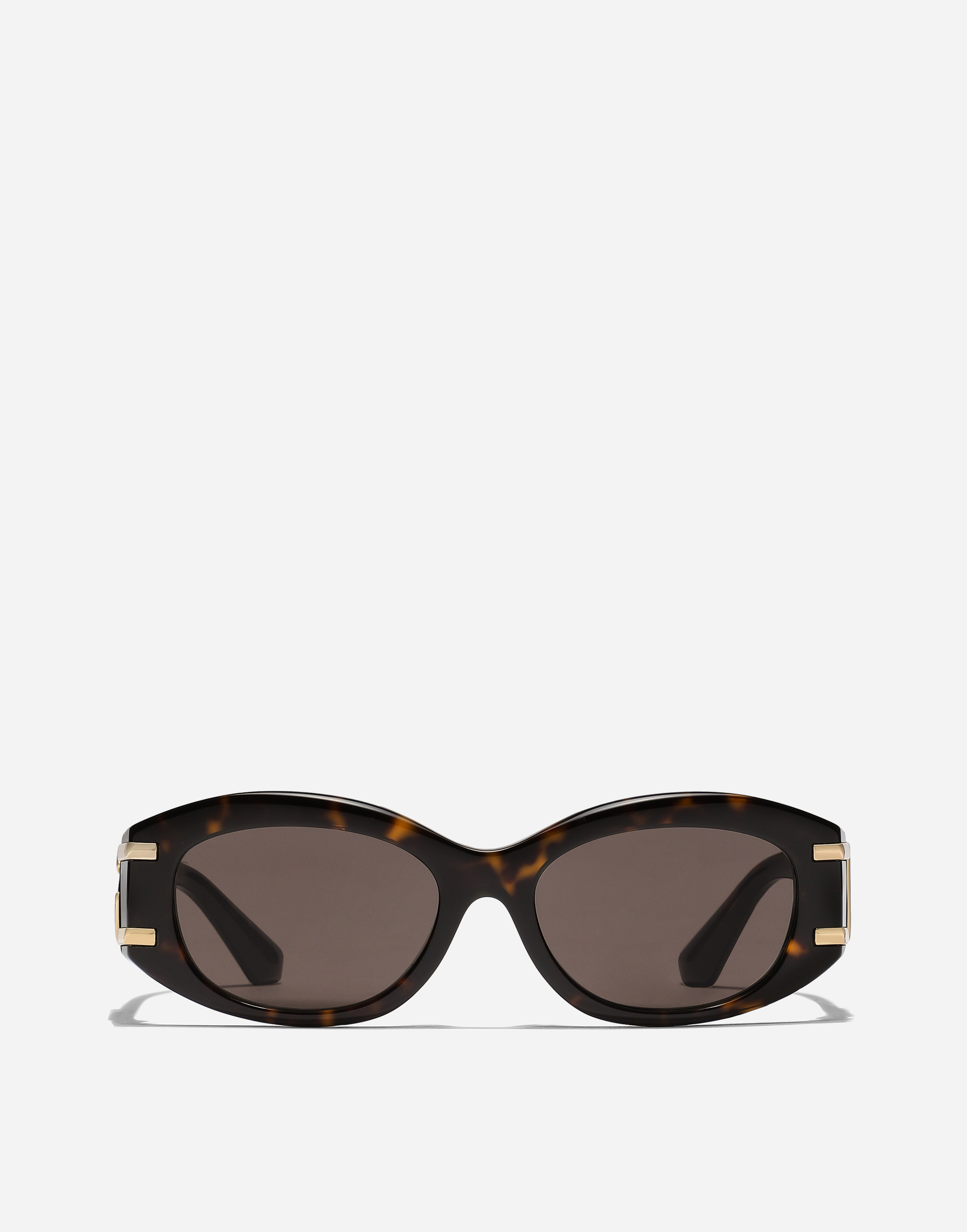 Dolce & Gabbana Dg Griffe Sunglasses In Havana