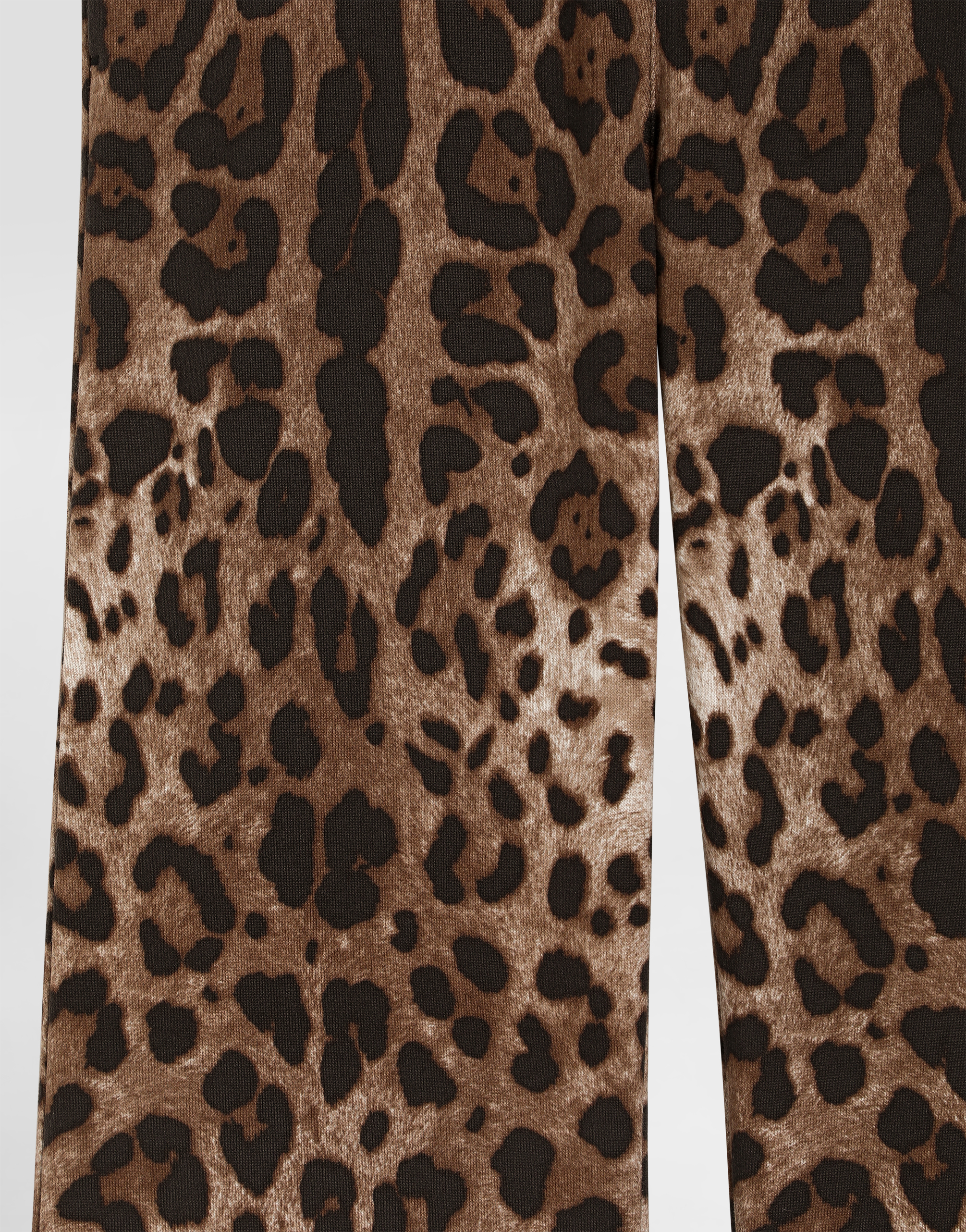 Dolce & Gabbana Drawstring Leopard-pattern Trousers In Brown