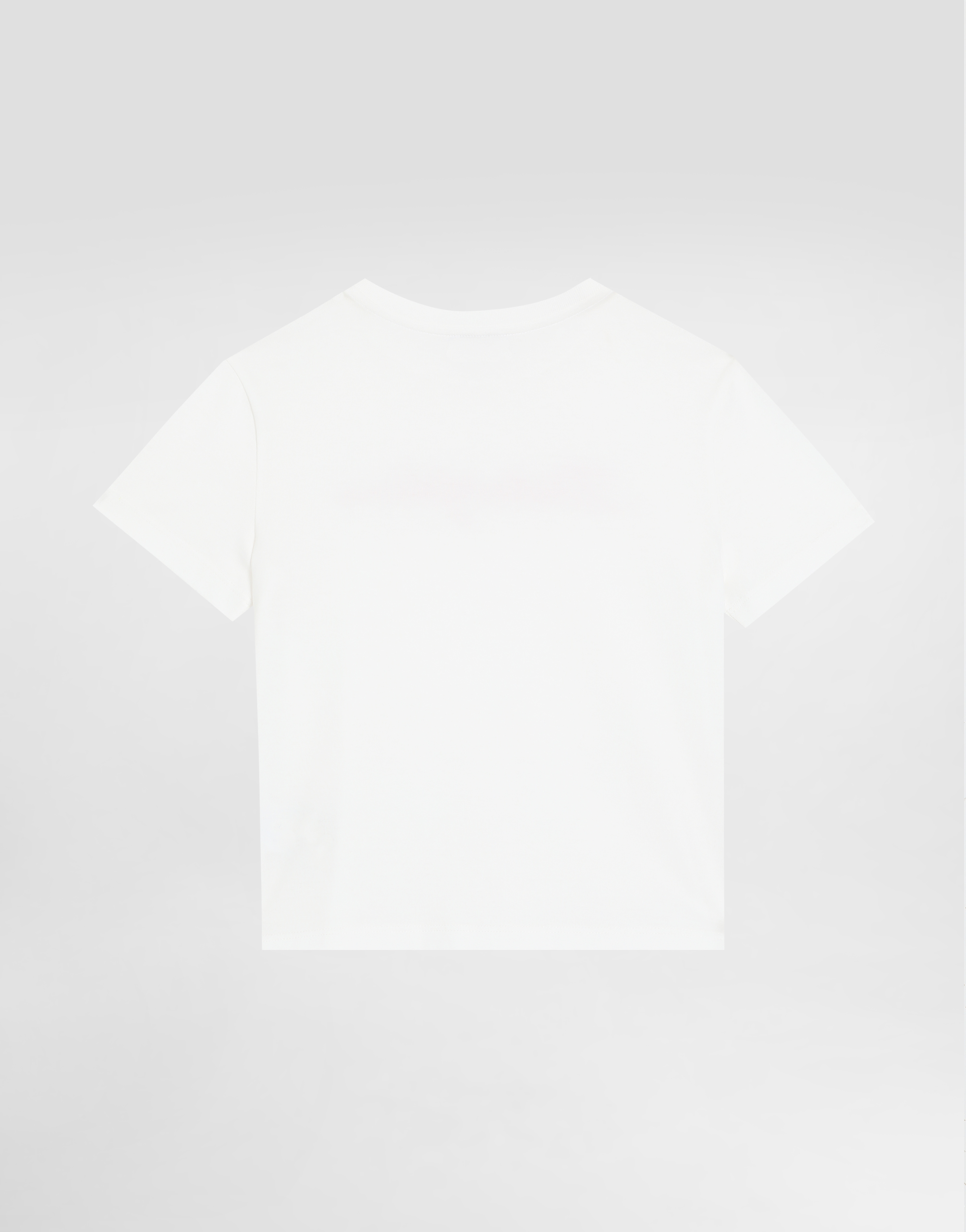 Dolce & Gabbana Jersey T-shirt With Dolce&gabbana Logo In White