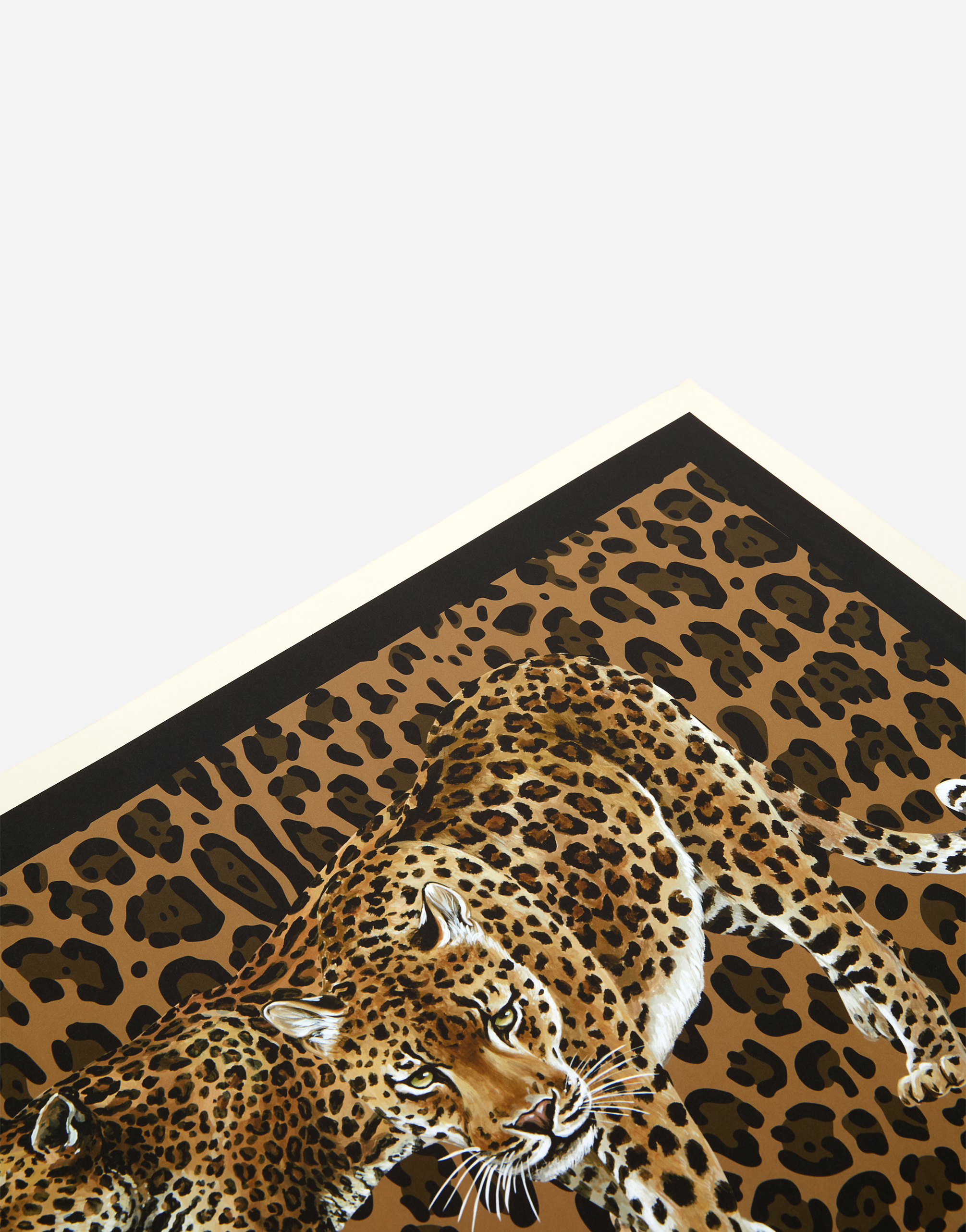 Dolce & Gabbana Set Of 36 Placemats In Multicolor