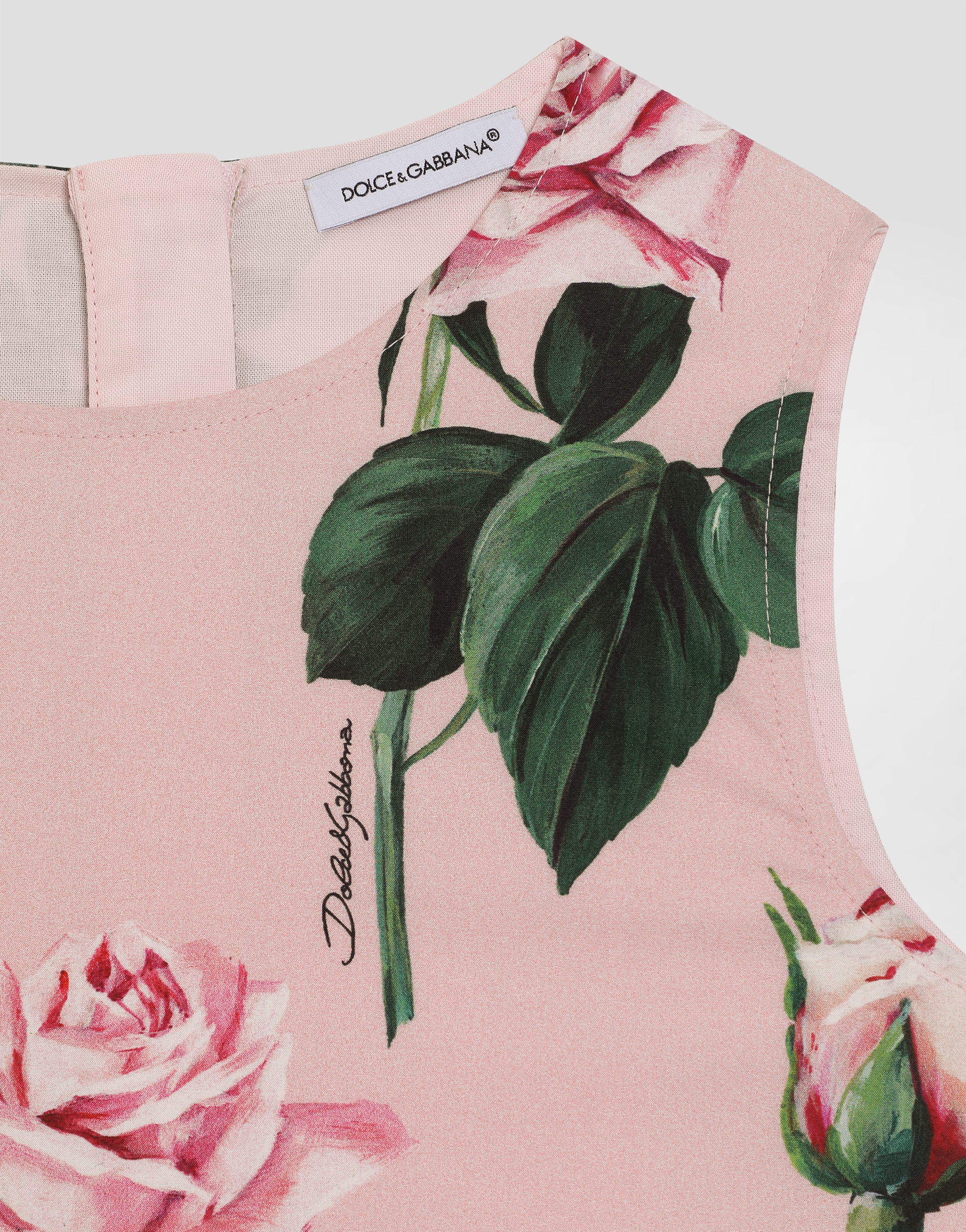 Dolce & Gabbana Rose-print Poplin Dress In Print