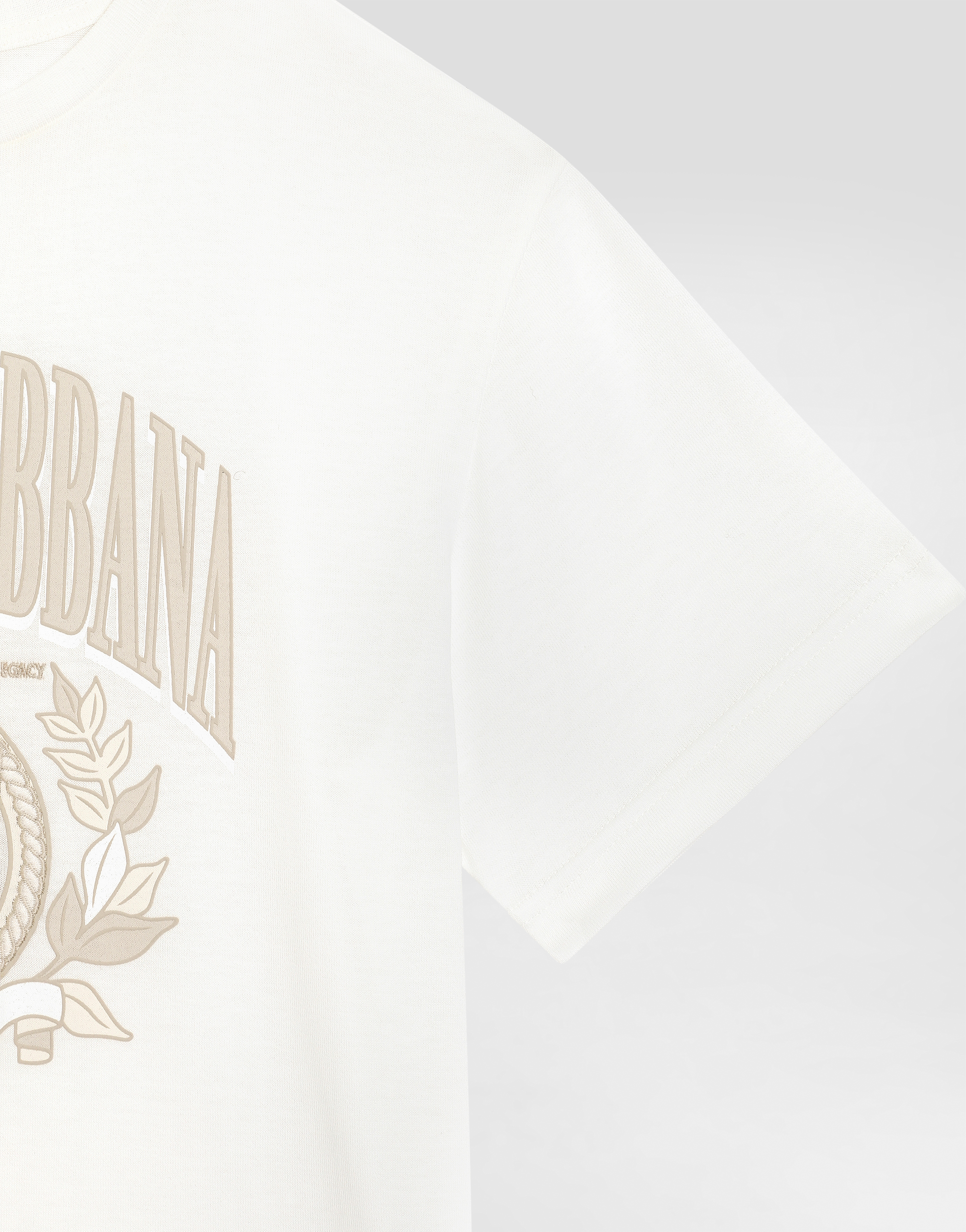 Dolce & Gabbana Jersey T-shirt With Dolce&gabbana Logo In White
