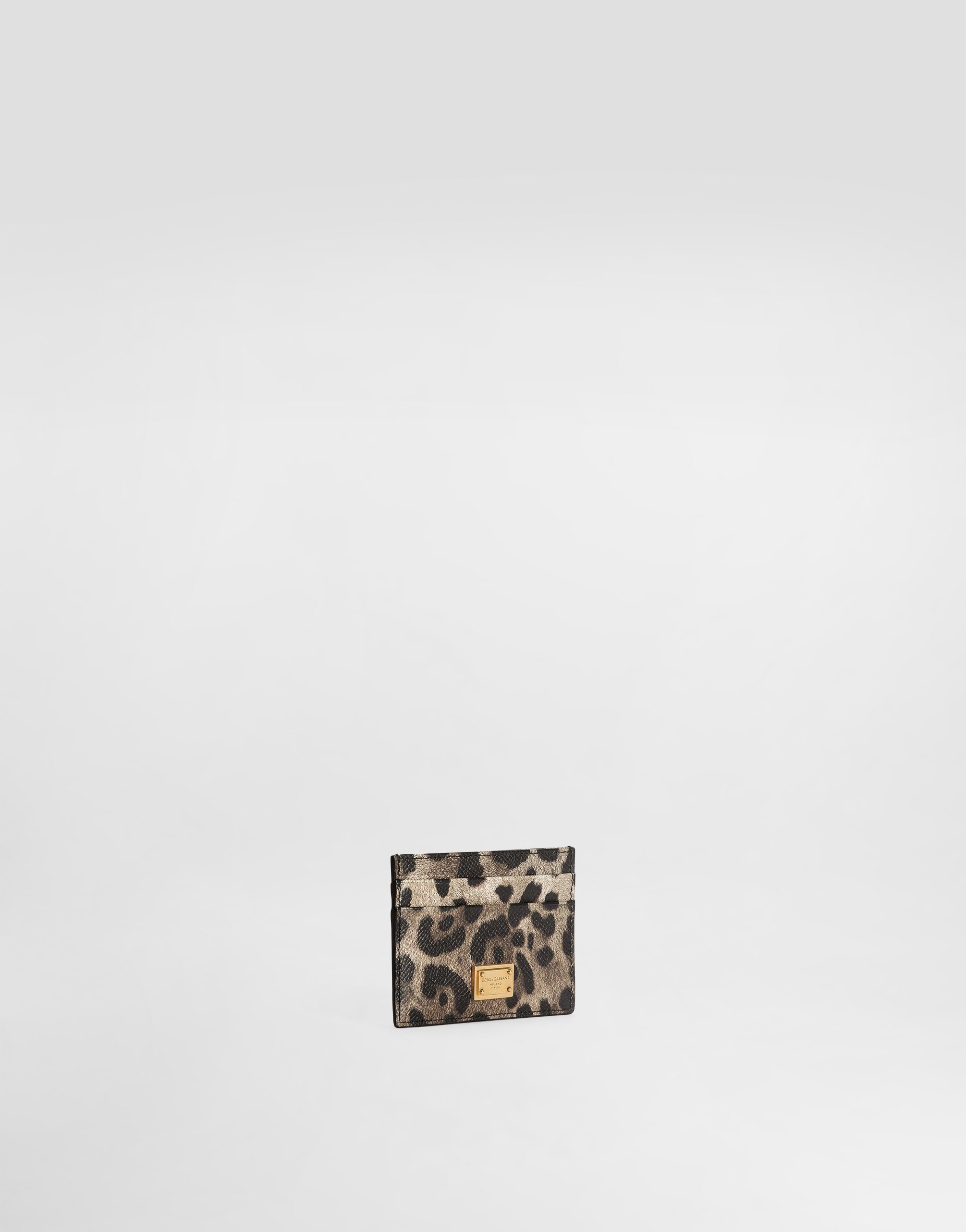 Dolce & Gabbana Dauphine Card Holder With Plate In Animal Print