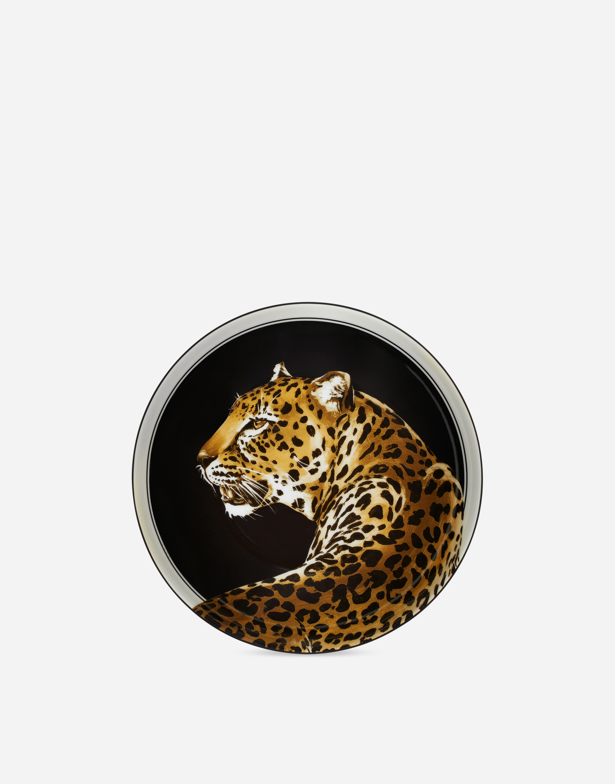 Dolce & Gabbana Set 2 Porcelain Soup Plates In Multicolor