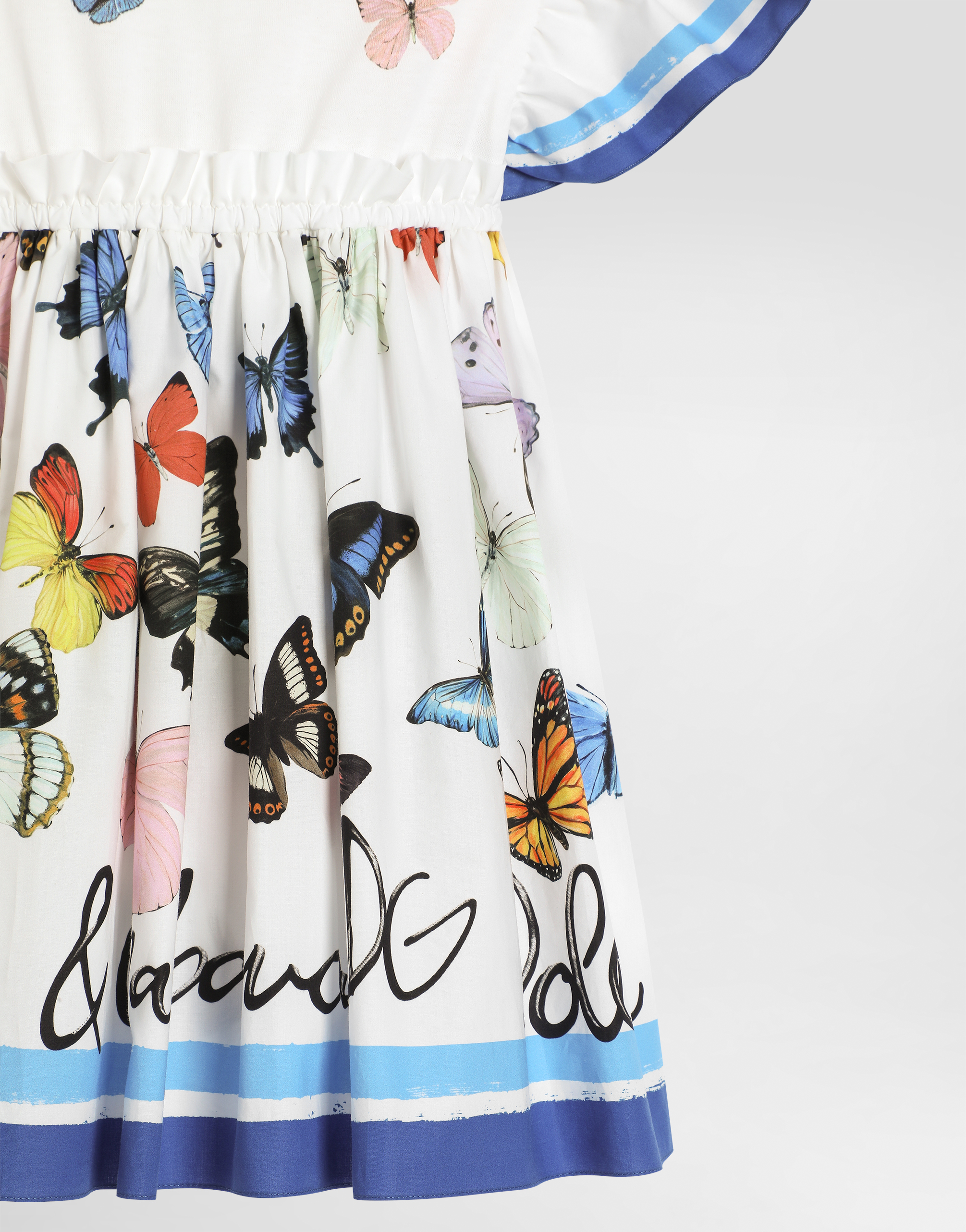 Dolce & Gabbana Butterfly-print Poplin And Jersey Dress In Print