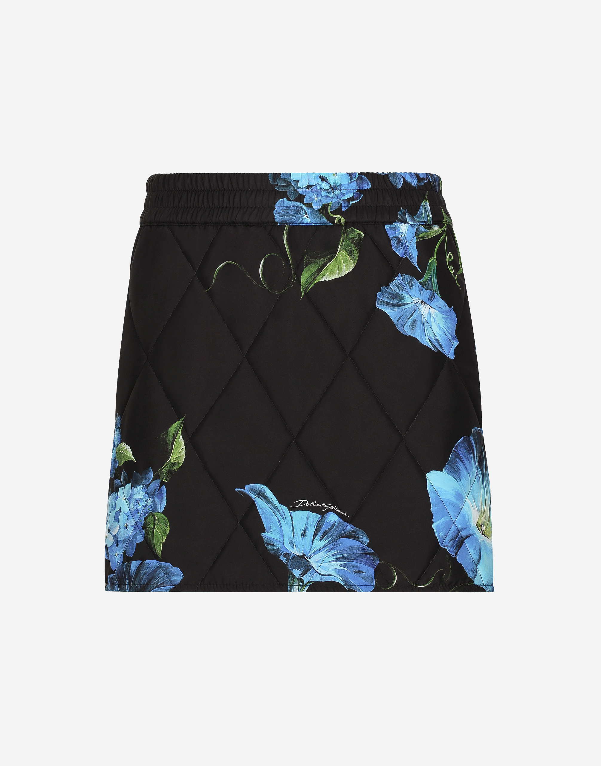 Dolce & Gabbana Fabric Miniskirt With Bluebell Print