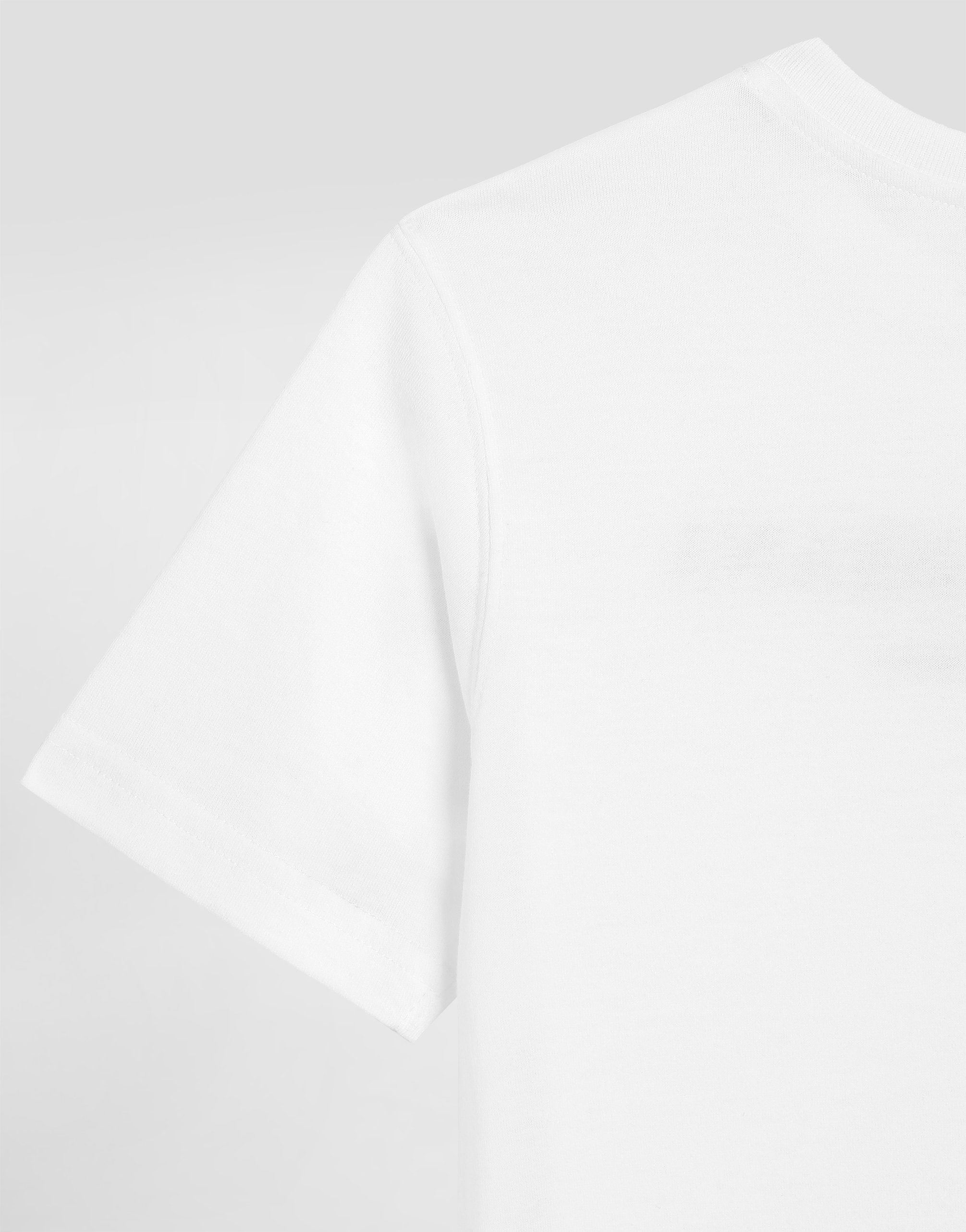 Dolce & Gabbana Short-sleeved Jersey T-shirt With Dolce&gabbana Print In White