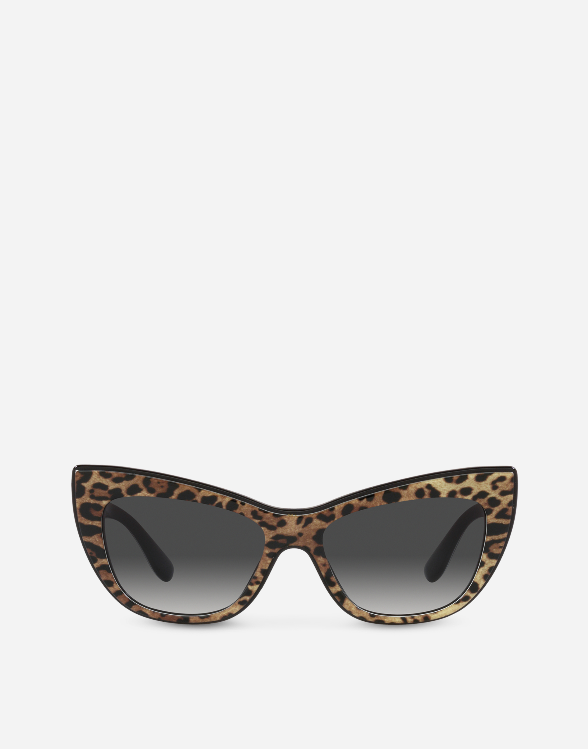 Dolce & Gabbana New Print Sunglasses In Leo Print