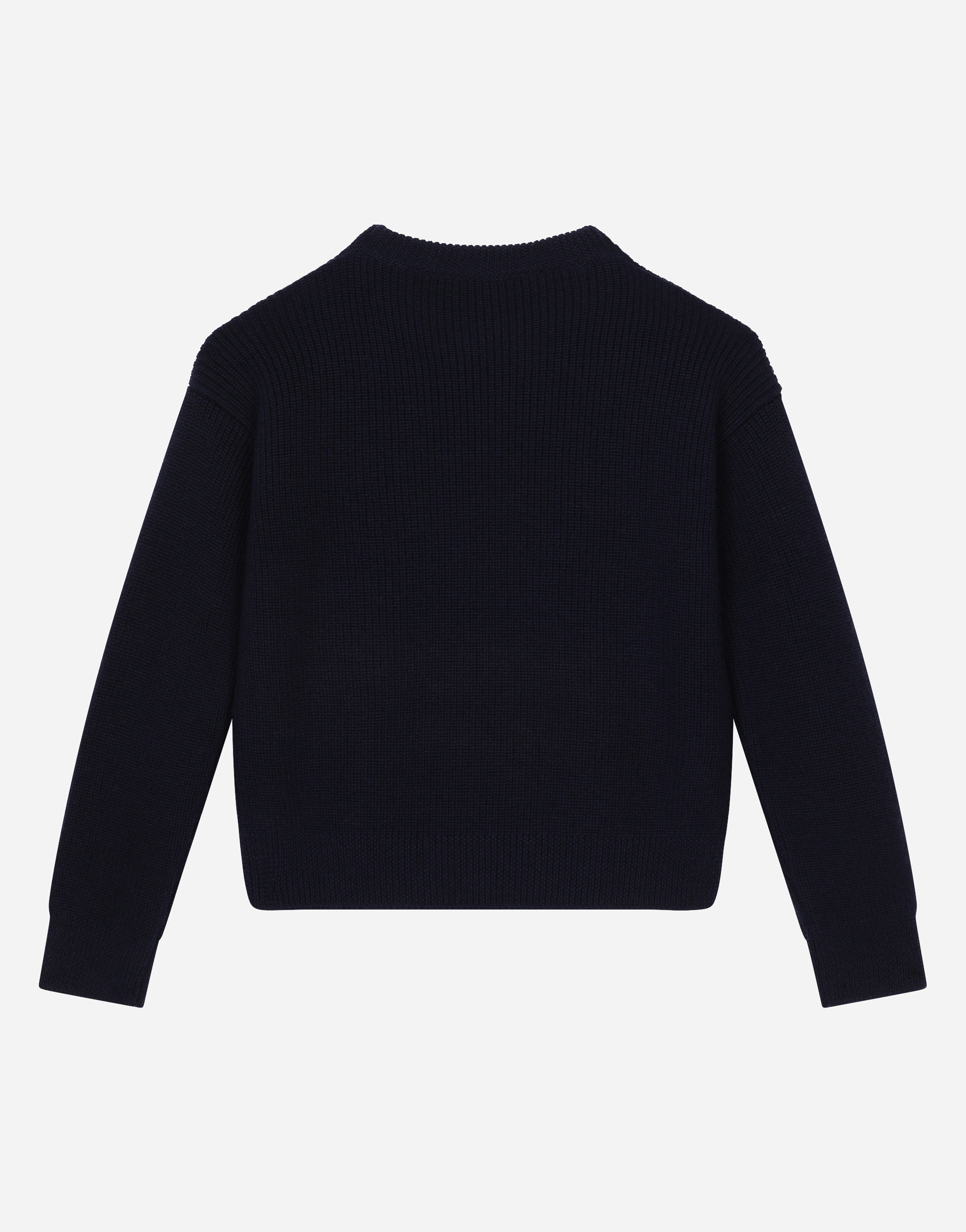Dolce & Gabbana Round-neck Sweater With Dg Logo Inlay In Multicolor