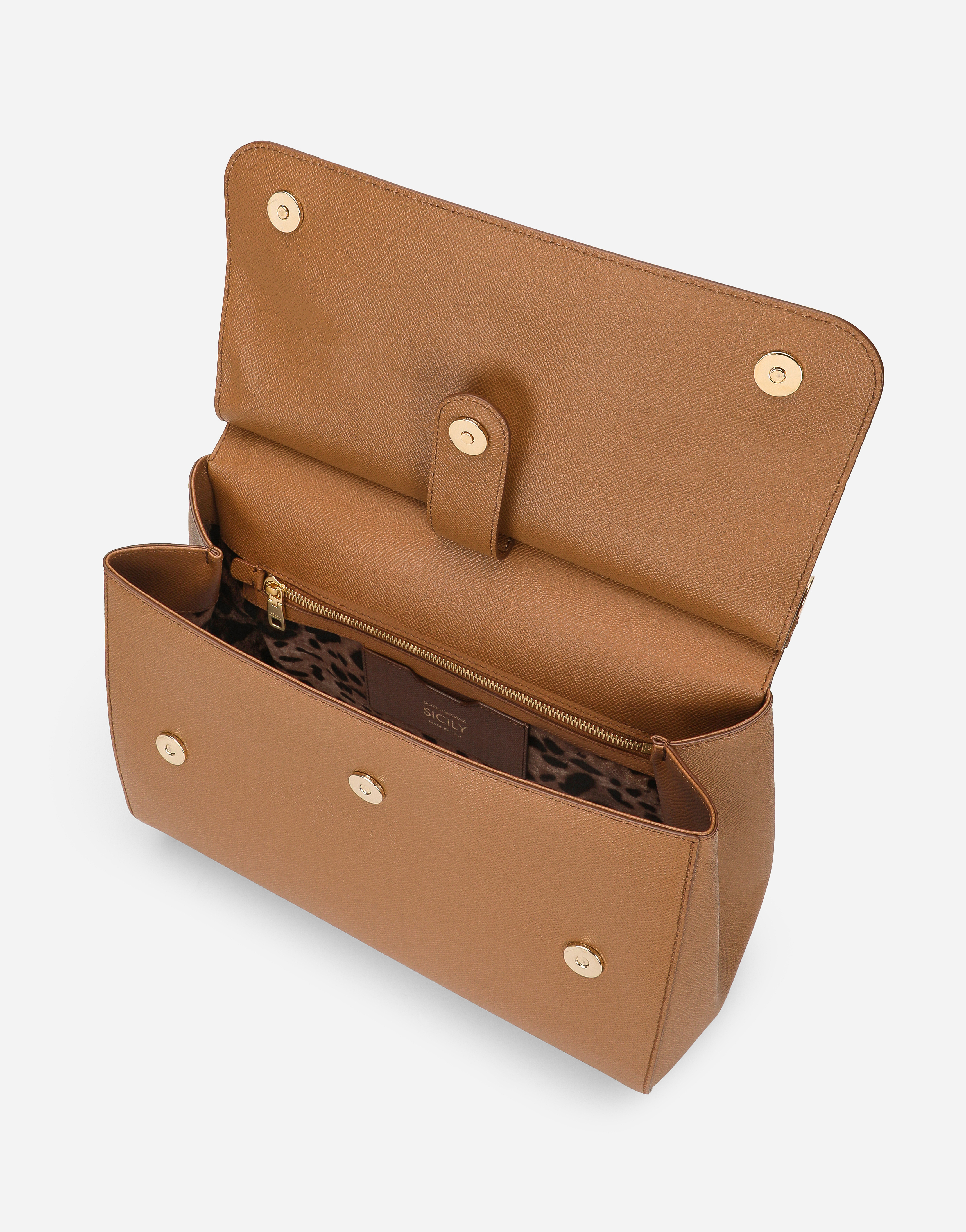 Dolce & Gabbana Borsa A Mano In Brown
