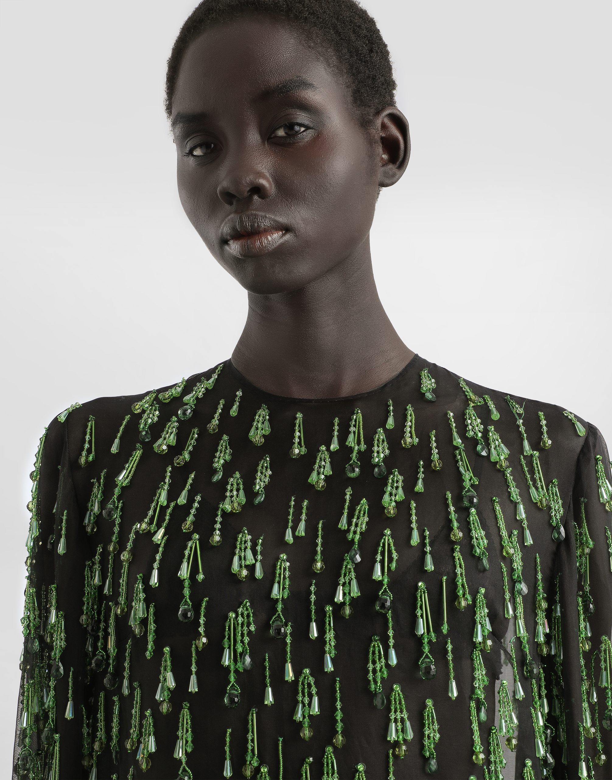 Dolce & Gabbana Short Flared Organza Dress With Embroidery In Green