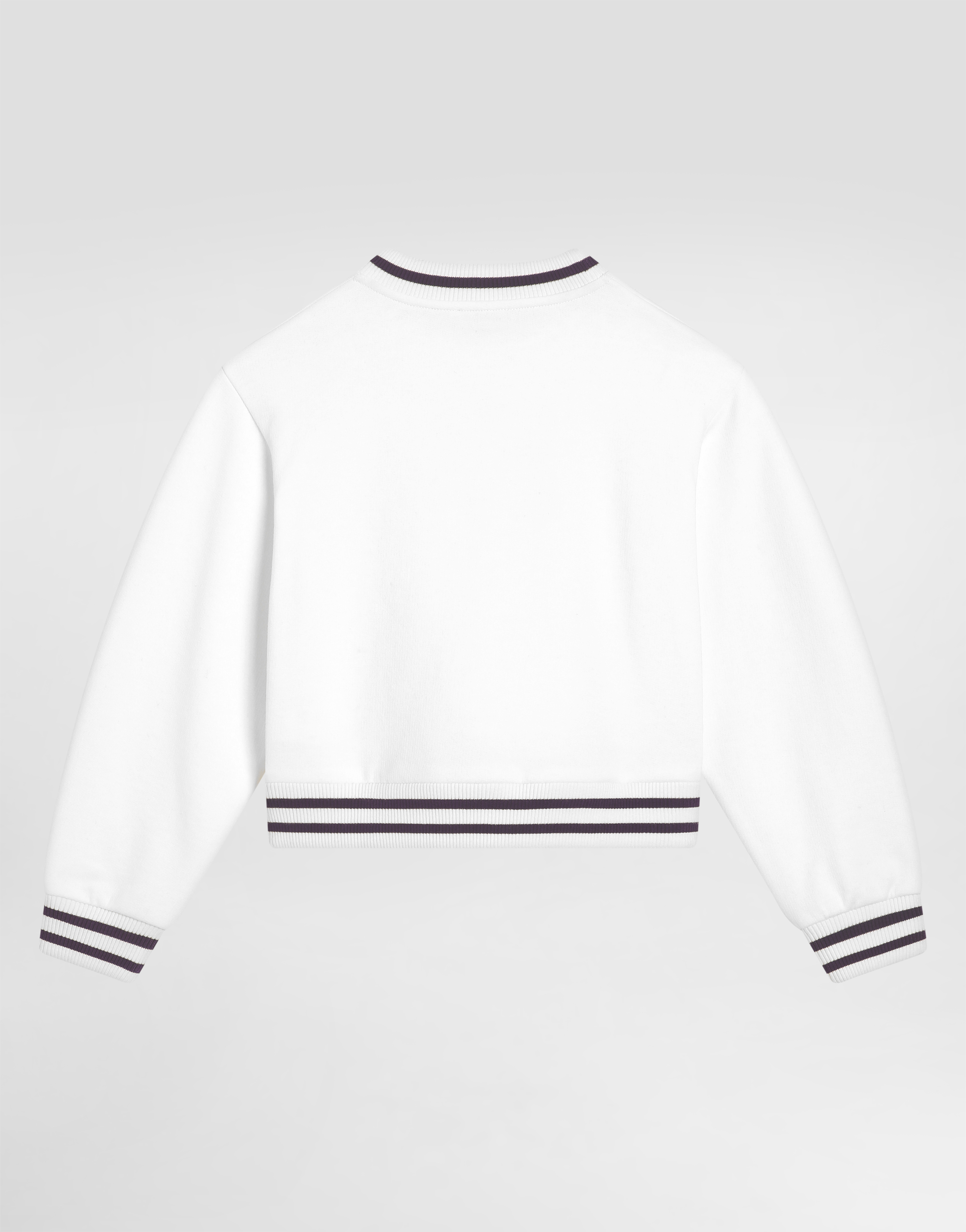 Dolce & Gabbana Majolica-print Crew Neck Sweatshirt With Dg Embroidery