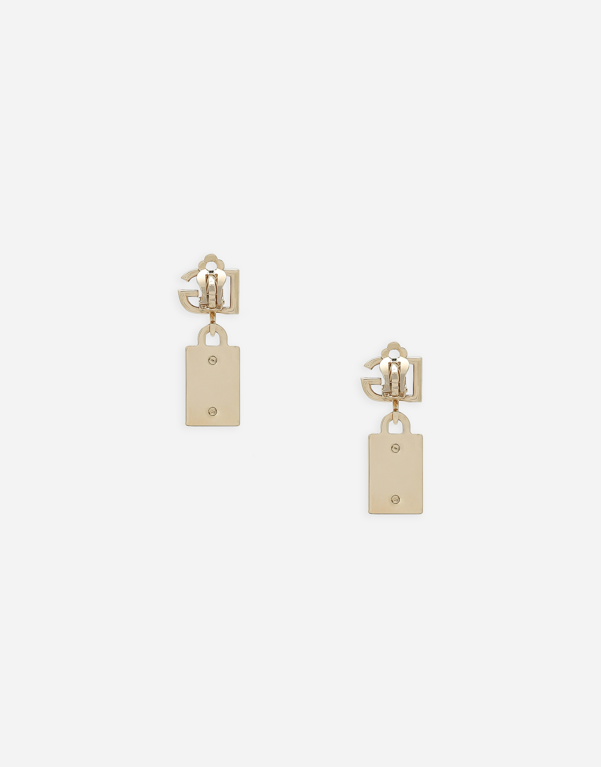 Shop Dolce & Gabbana Earrings With Dg Logo And Tag In Multicolor