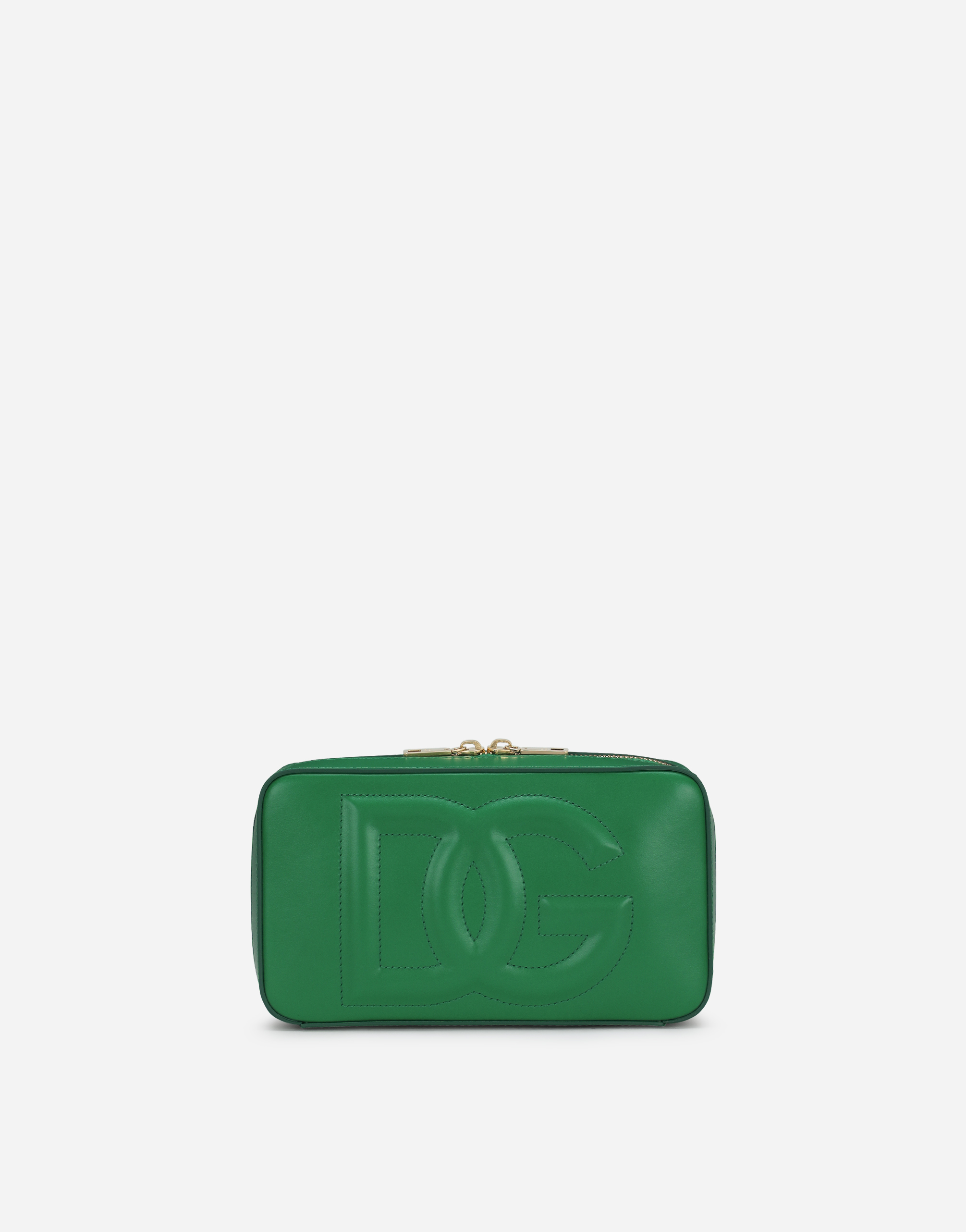 Dolce & Gabbana Small Calfskin Dg Logo Camera Bag In Green